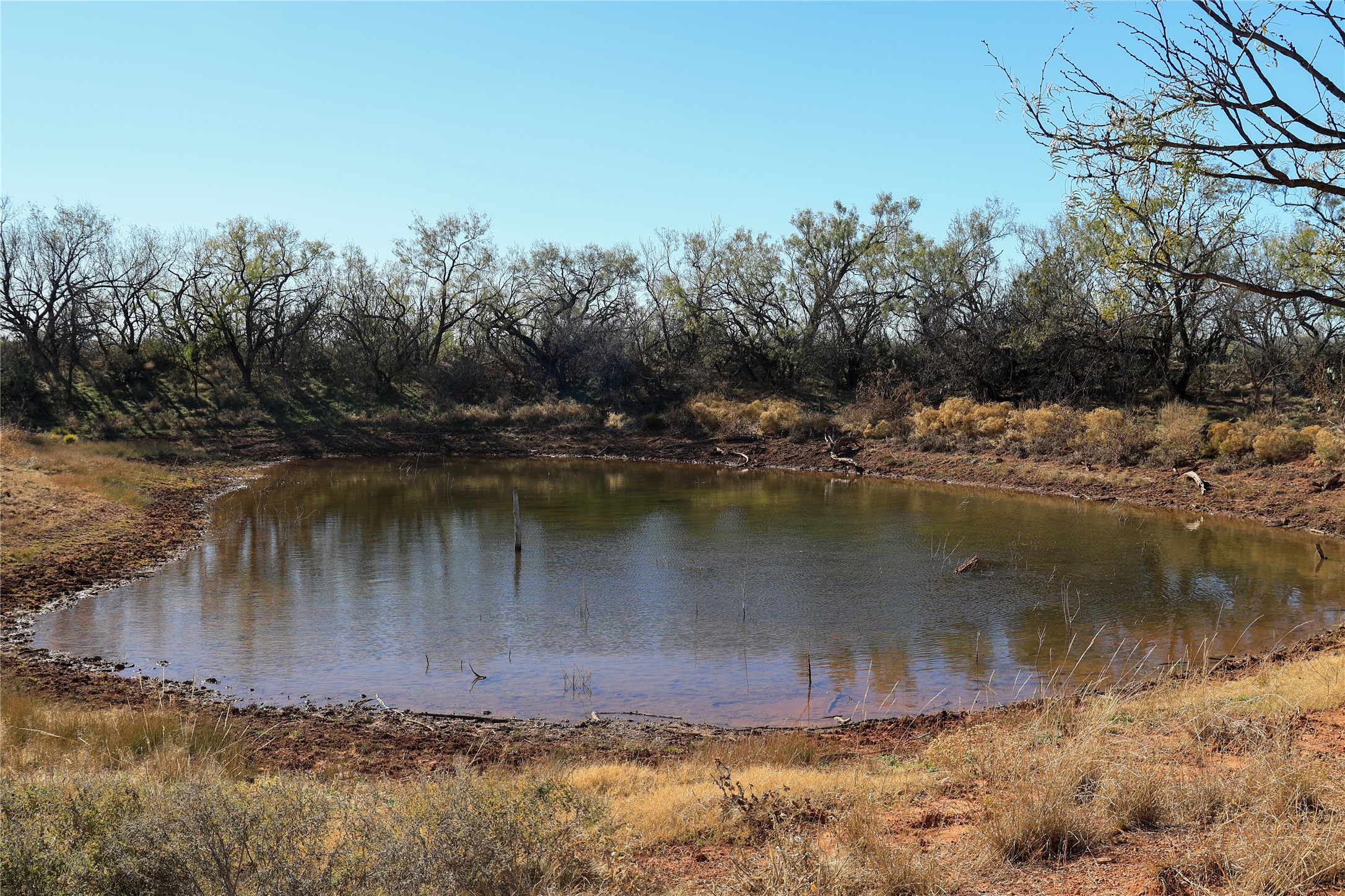 Tbd 42 County Road 318 Abilene TX 79606