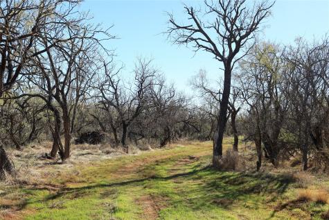 Tbd 42 County Road 318 Abilene TX 79606