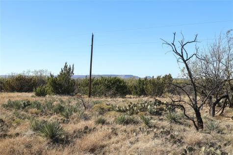 Tbd 42 County Road 318 Abilene TX 79606