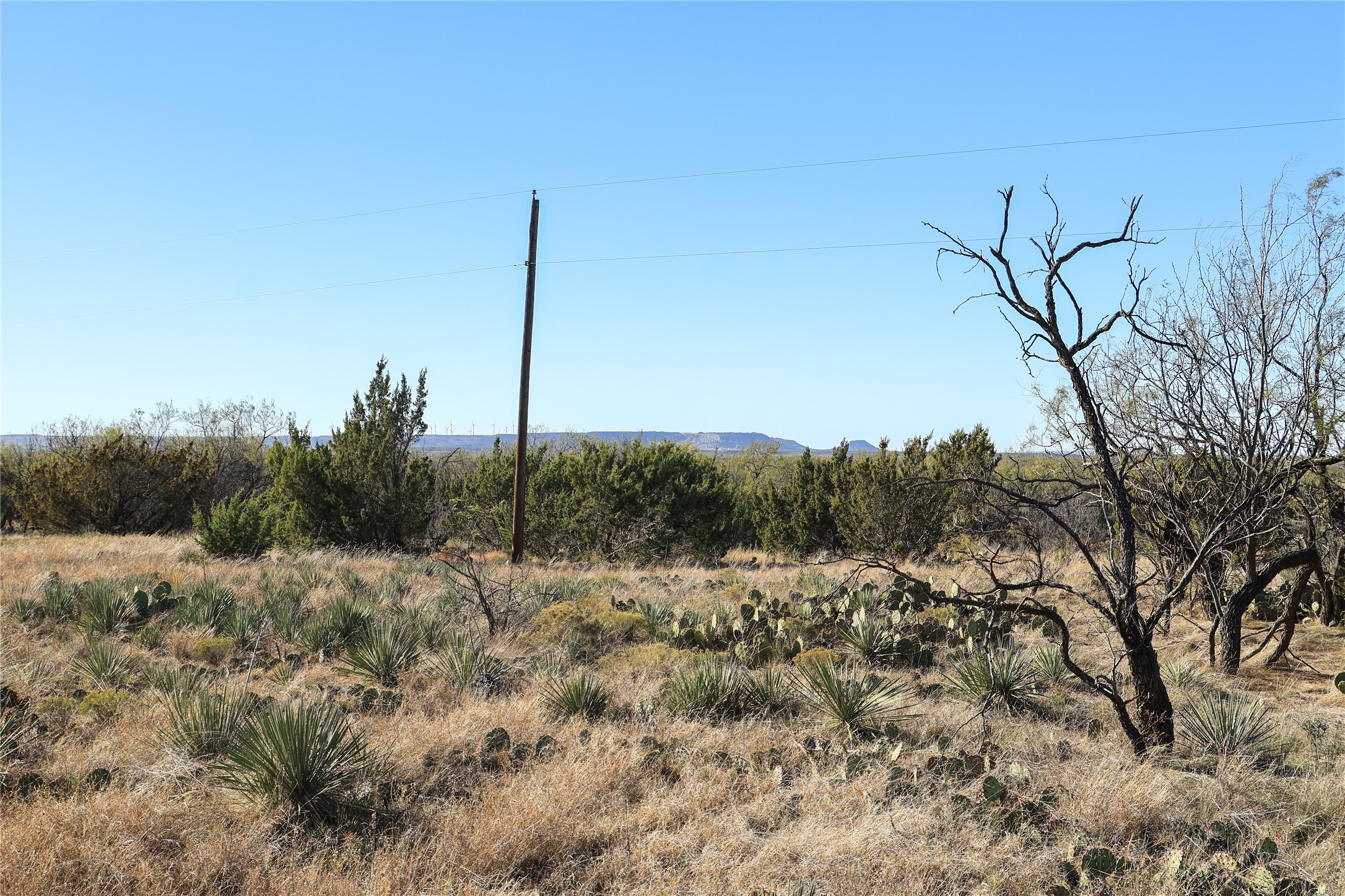 Tbd 42 County Road 318 Abilene TX 79606