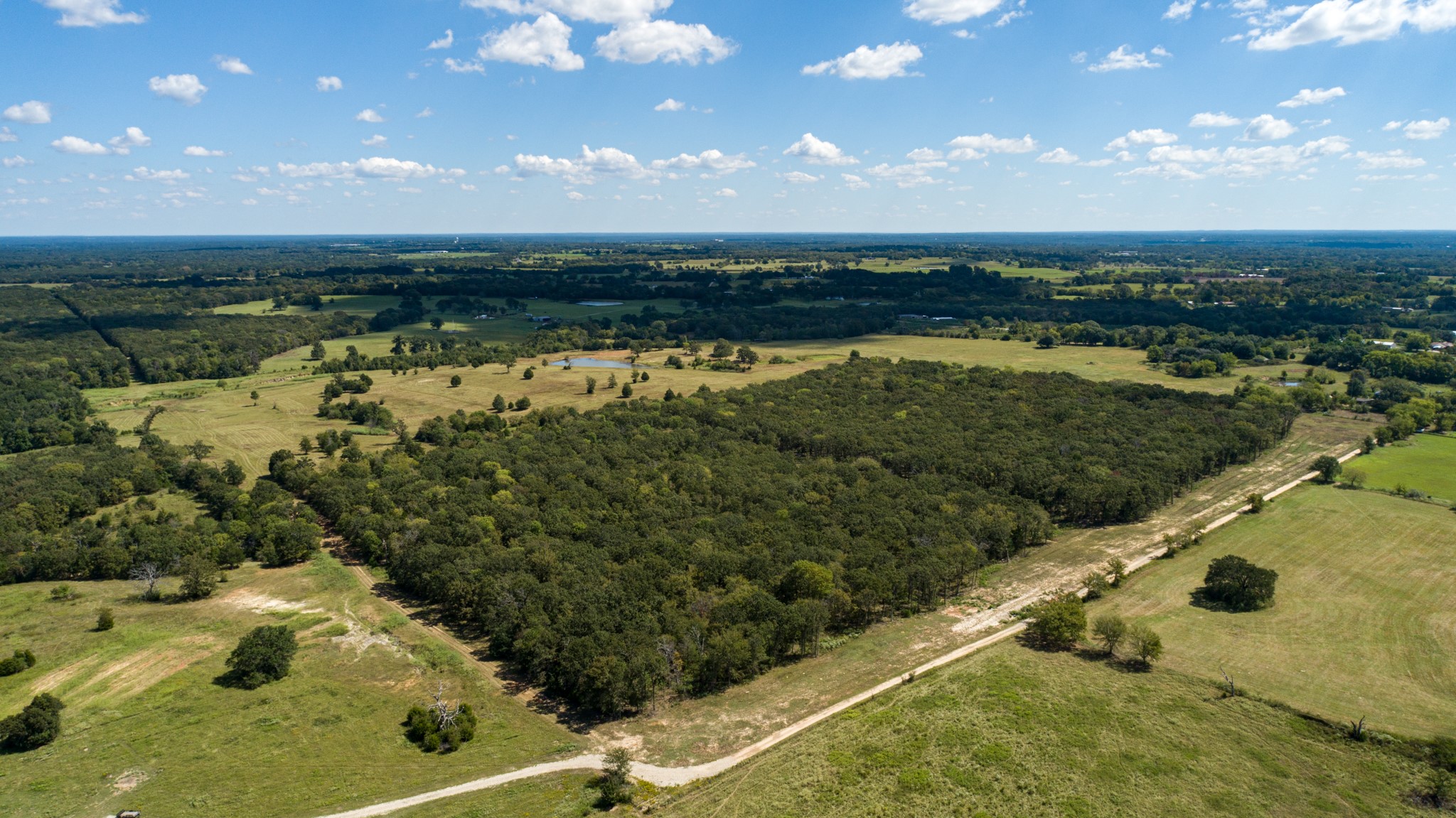 Tbd Vz County Road 1123 Fruitvale TX 75127