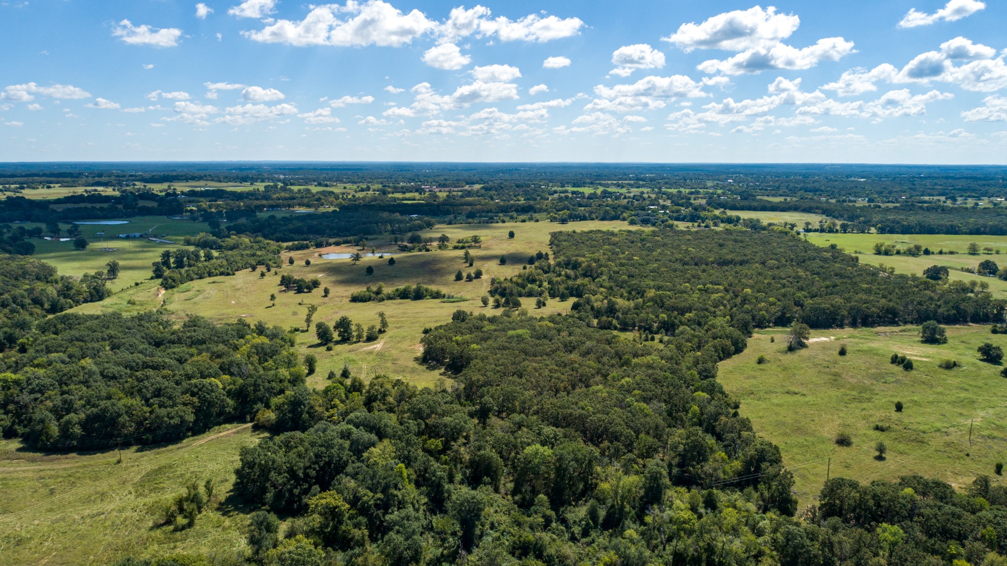 Tbd Vz County Road 1123 Fruitvale TX 75127