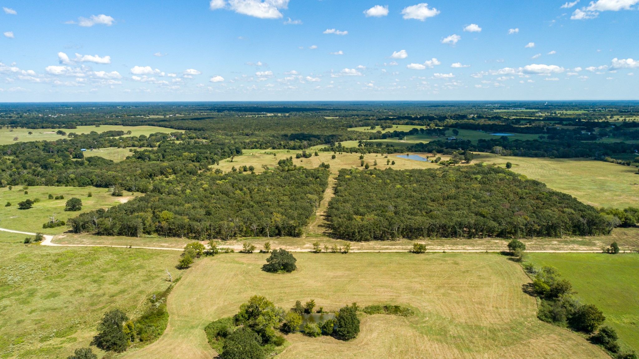 Tbd Vz County Road 1123 Fruitvale TX 75127