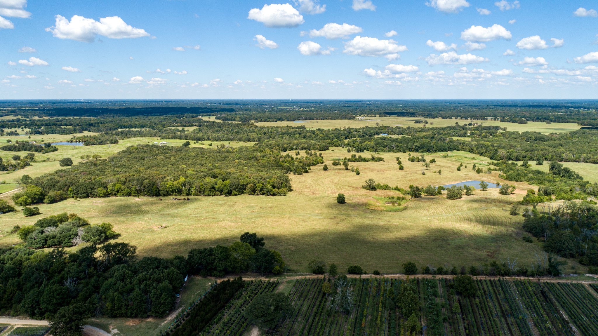 Tbd Vz County Road 1123 Fruitvale TX 75127