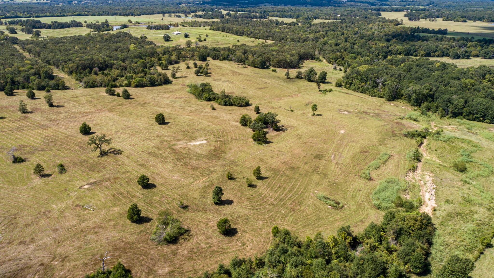 Tbd Vz County Road 1123 Fruitvale TX 75127