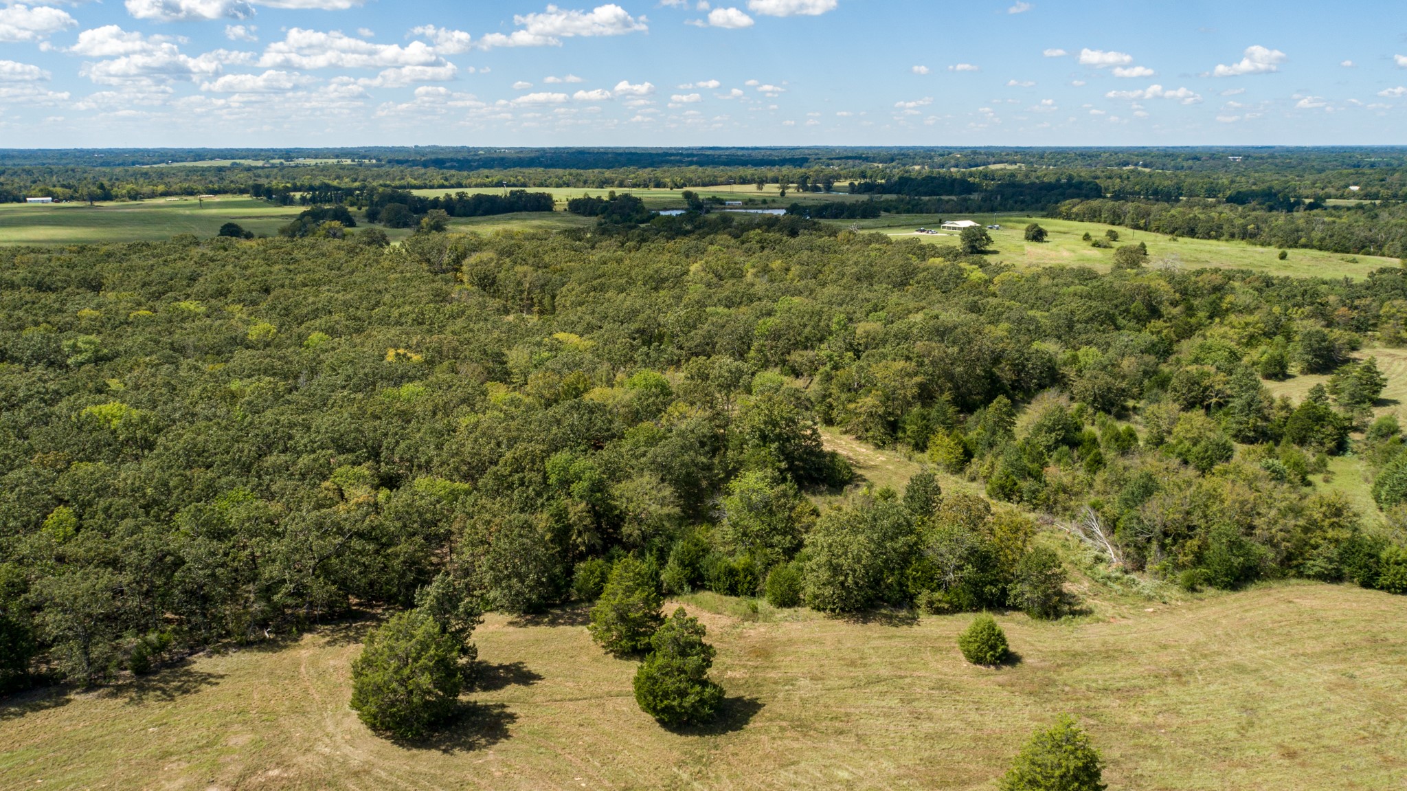 Tbd Vz County Road 1123 Fruitvale TX 75127