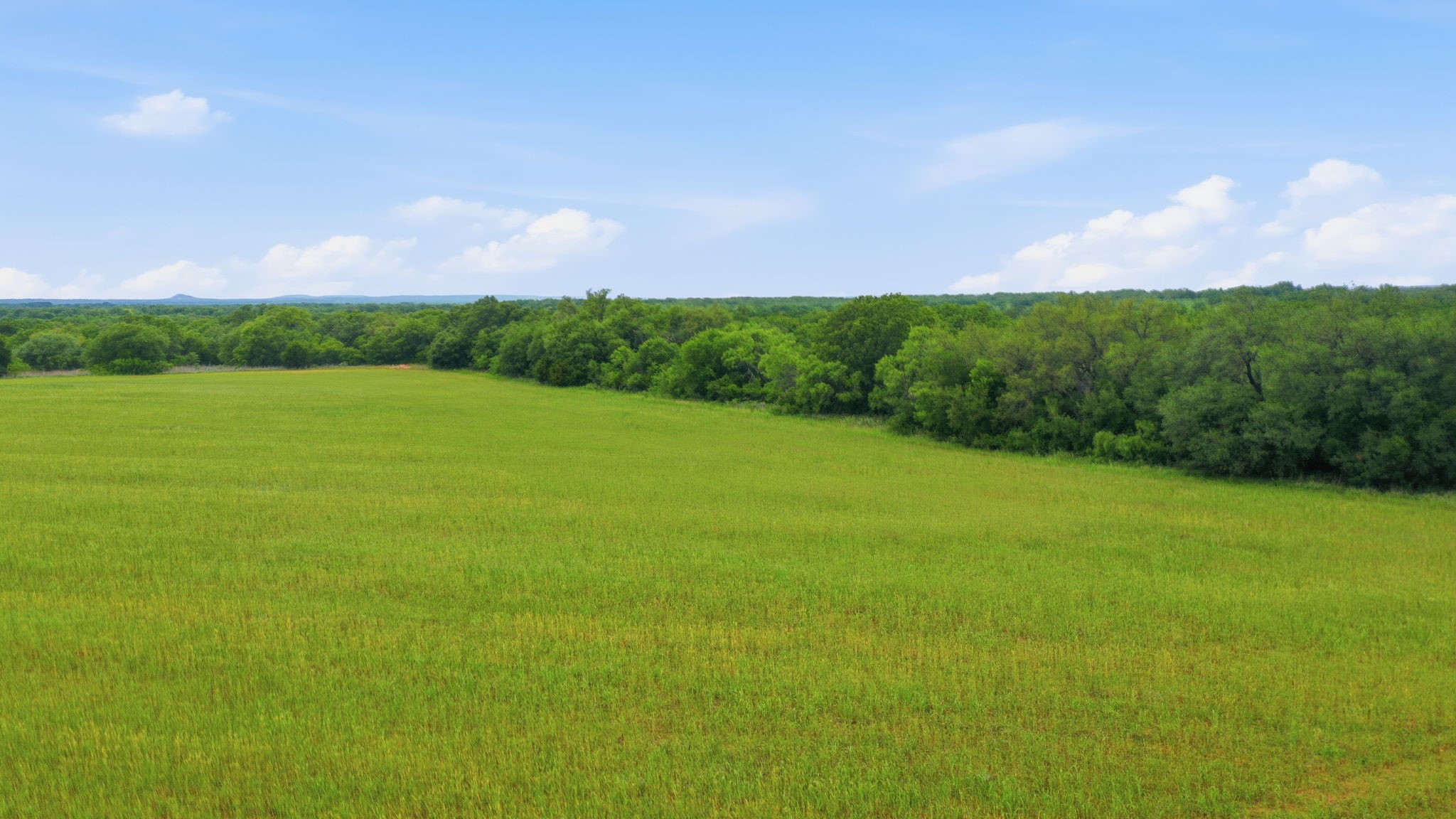 Tbd Highway 206 Cross Plains TX 76443