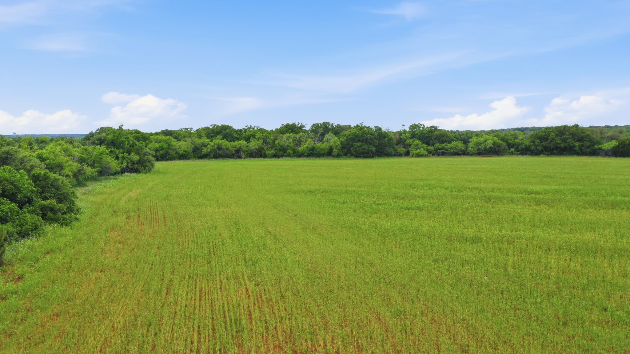 Tbd Highway 206 Cross Plains TX 76443