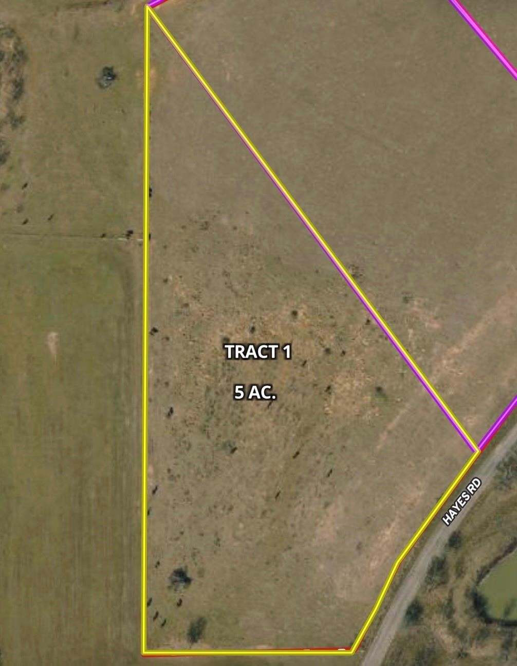 Tbd Tract 1 Hayes Road Mineral Wells TX 76067