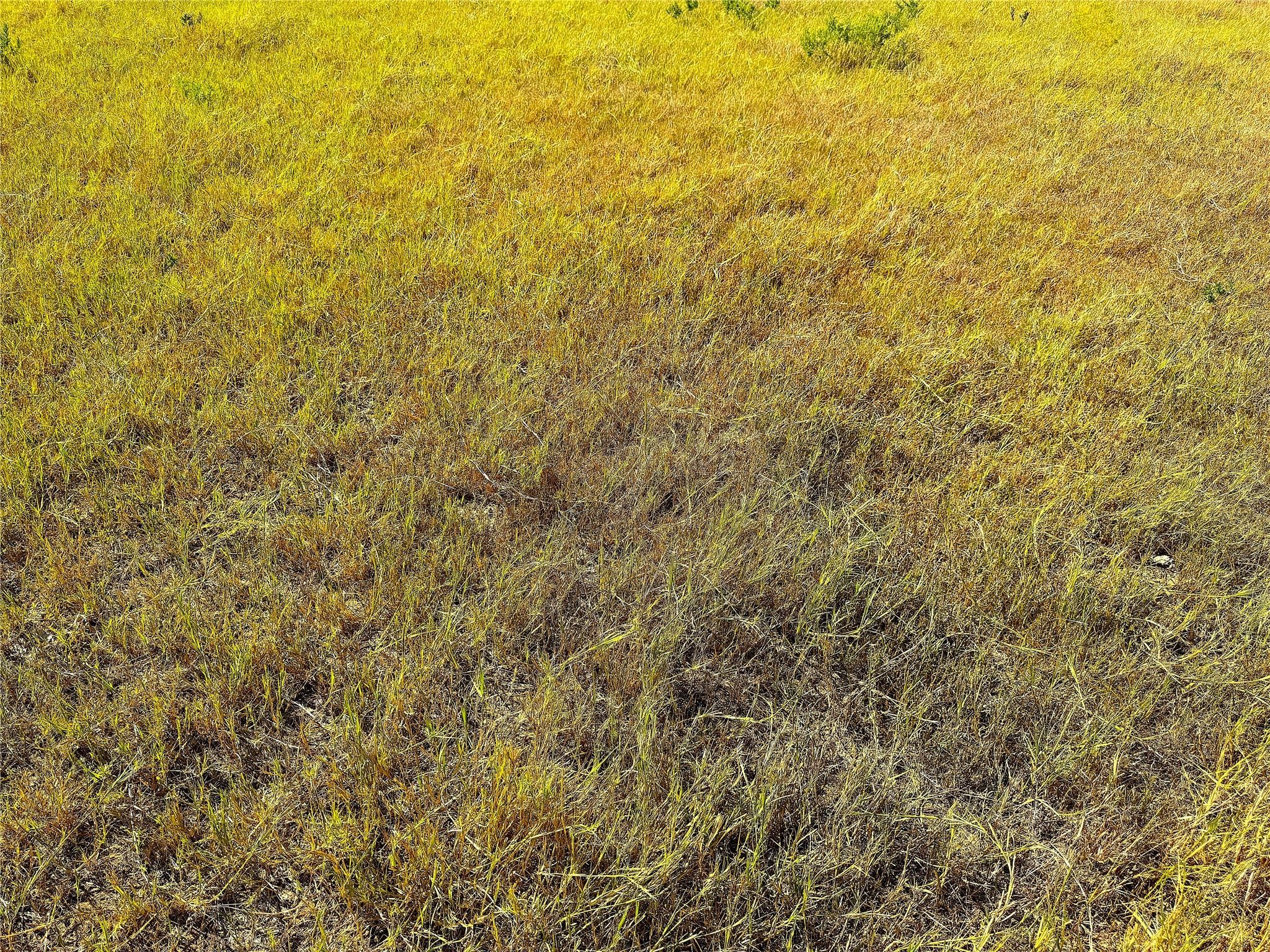 Tbd Tract 1 Hayes Road Mineral Wells TX 76067