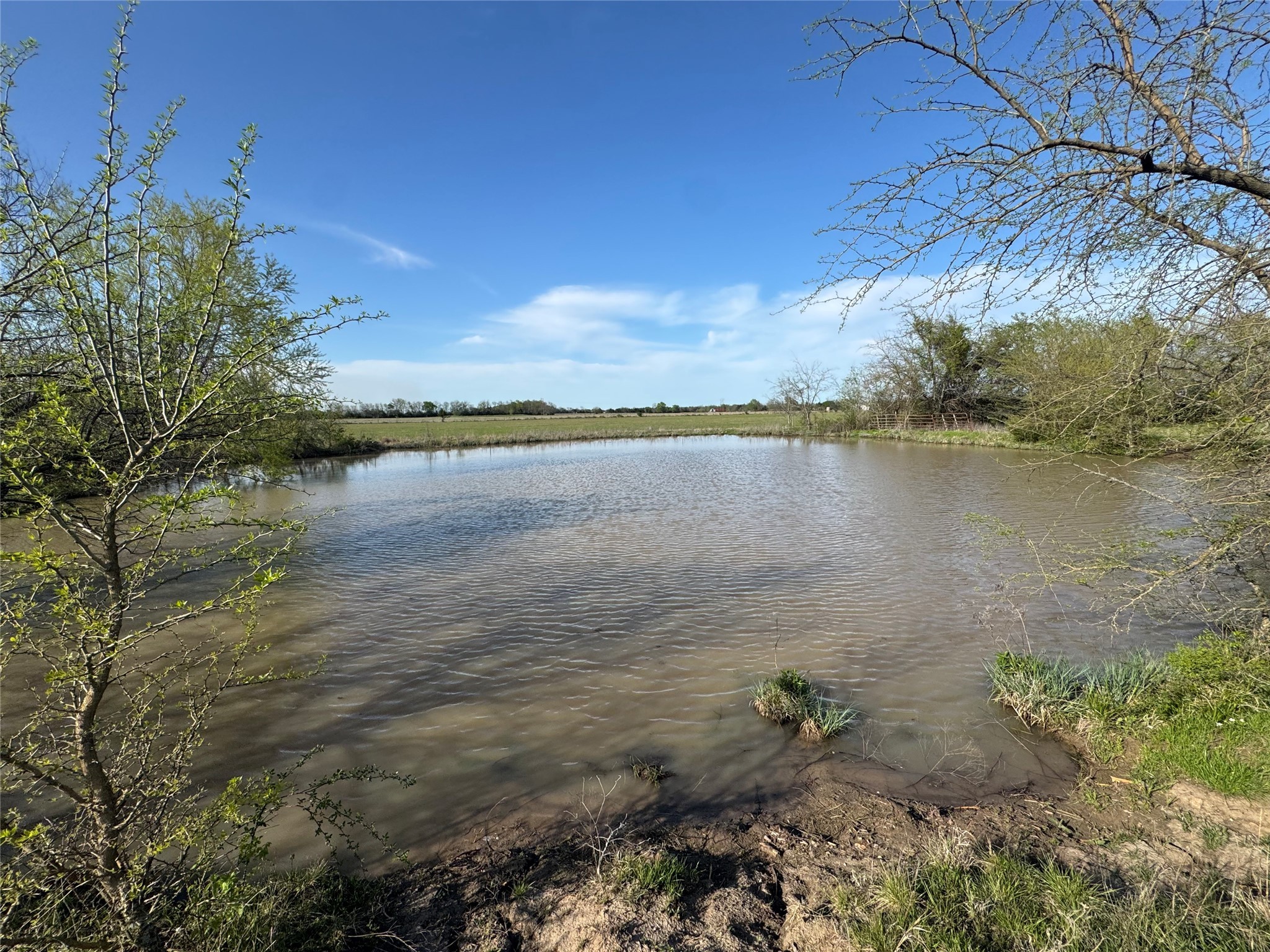 Parcel 401073 Cr 23900 Brookston TX 75421