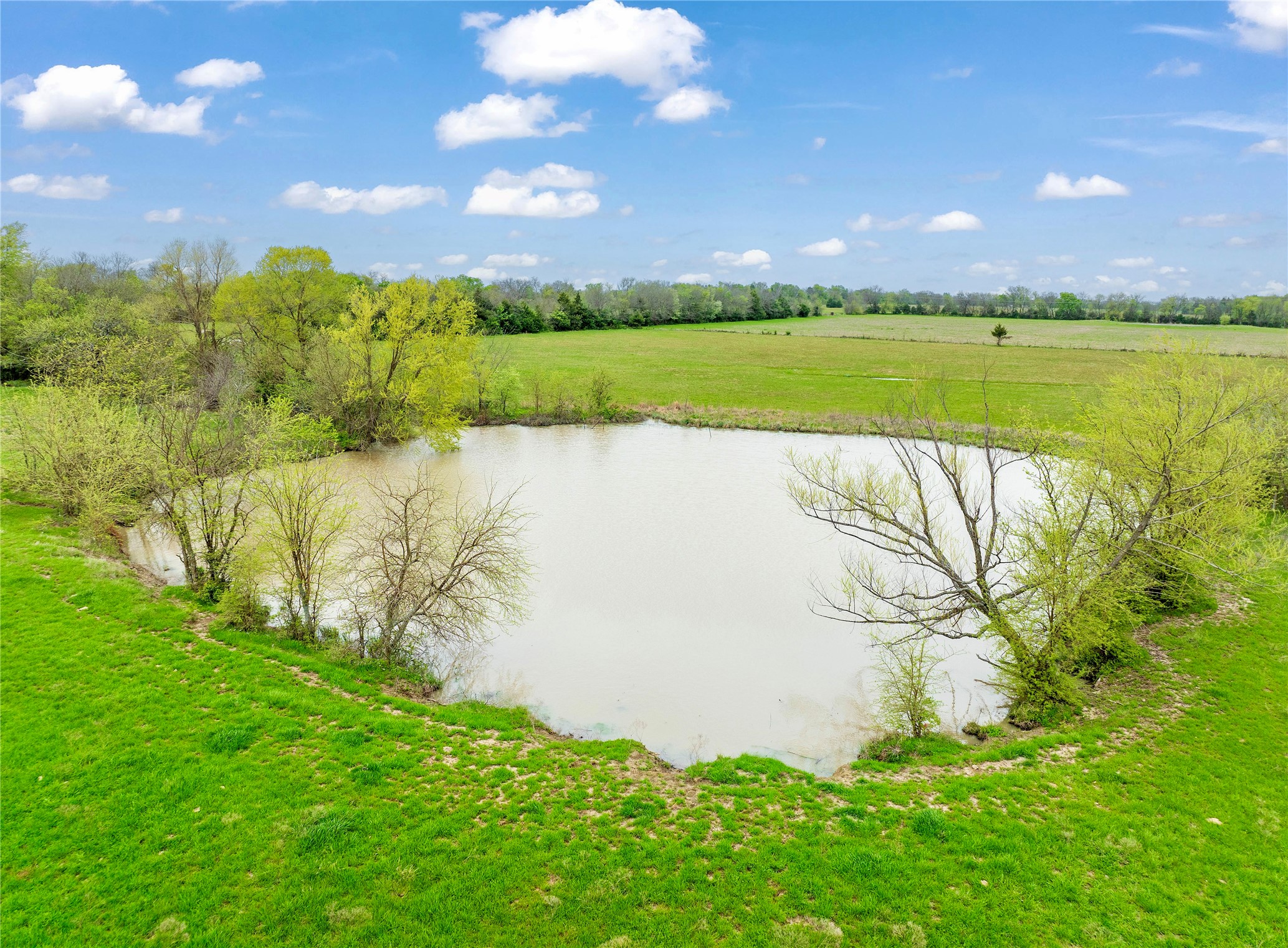 Parcel 401073 Cr 23900 Brookston TX 75421