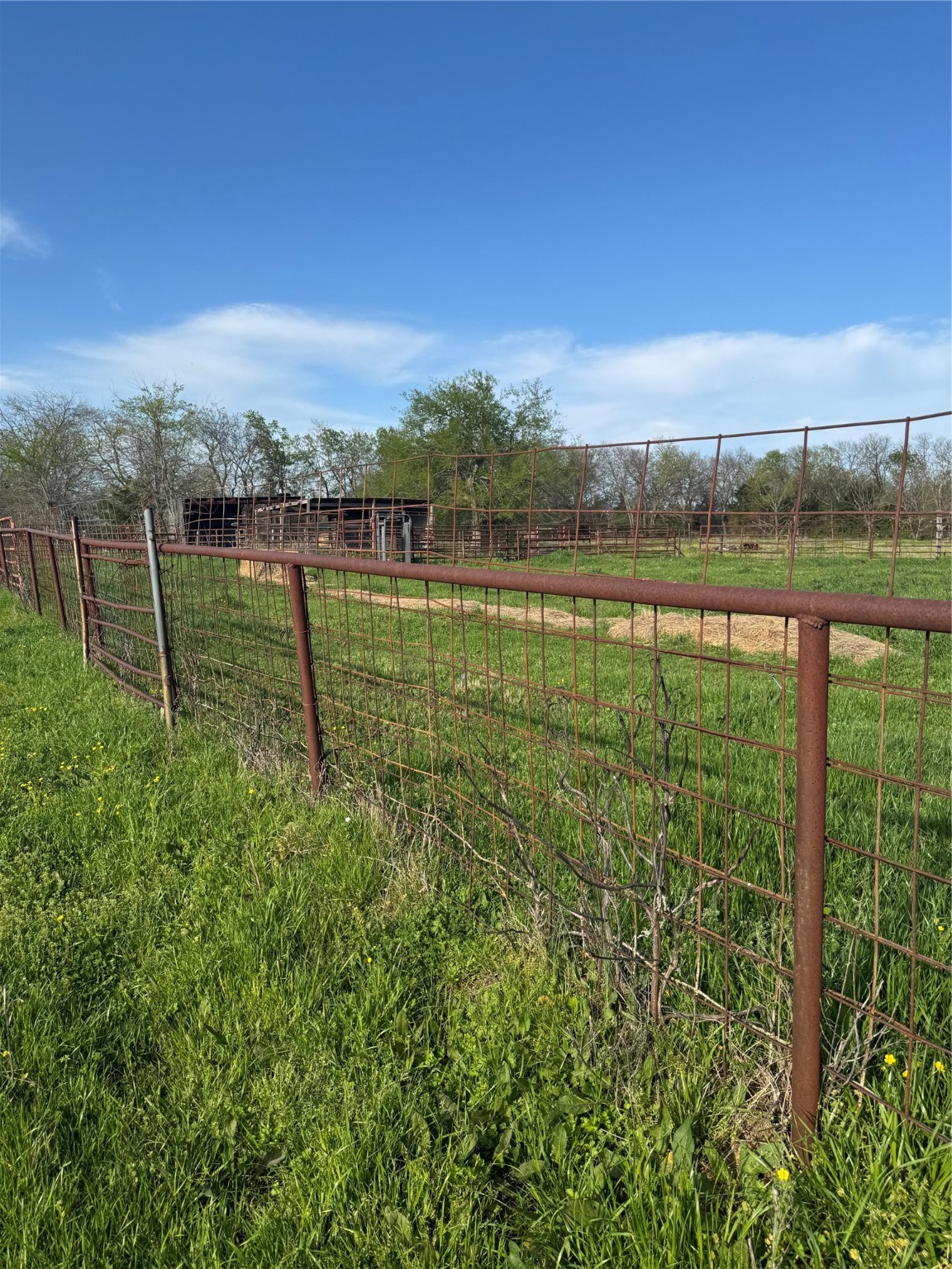 Parcel 401073 Cr 23900 Brookston TX 75421