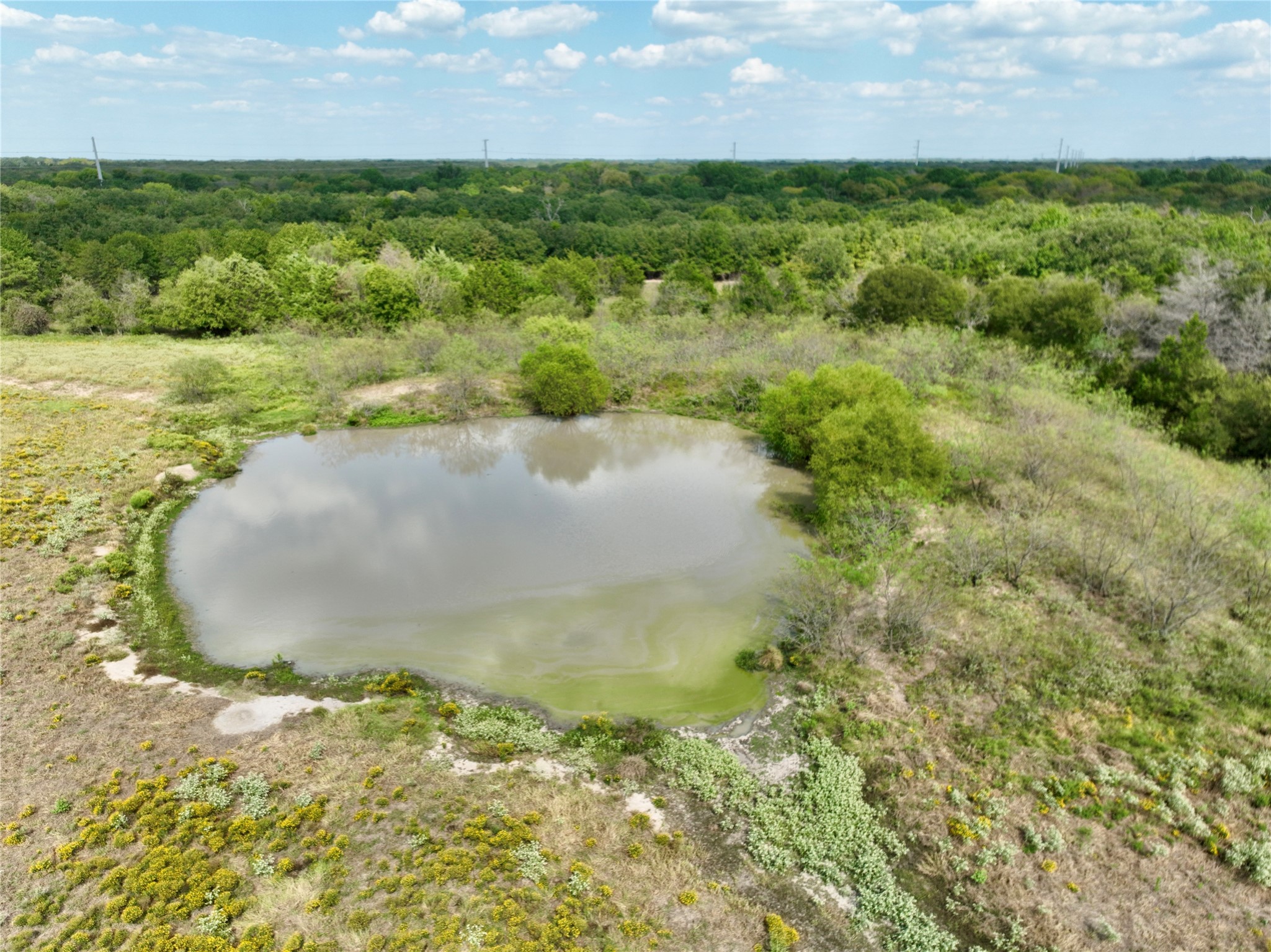 Tbd 93.8± Acres NW Co Road 3310 Frost TX 76641