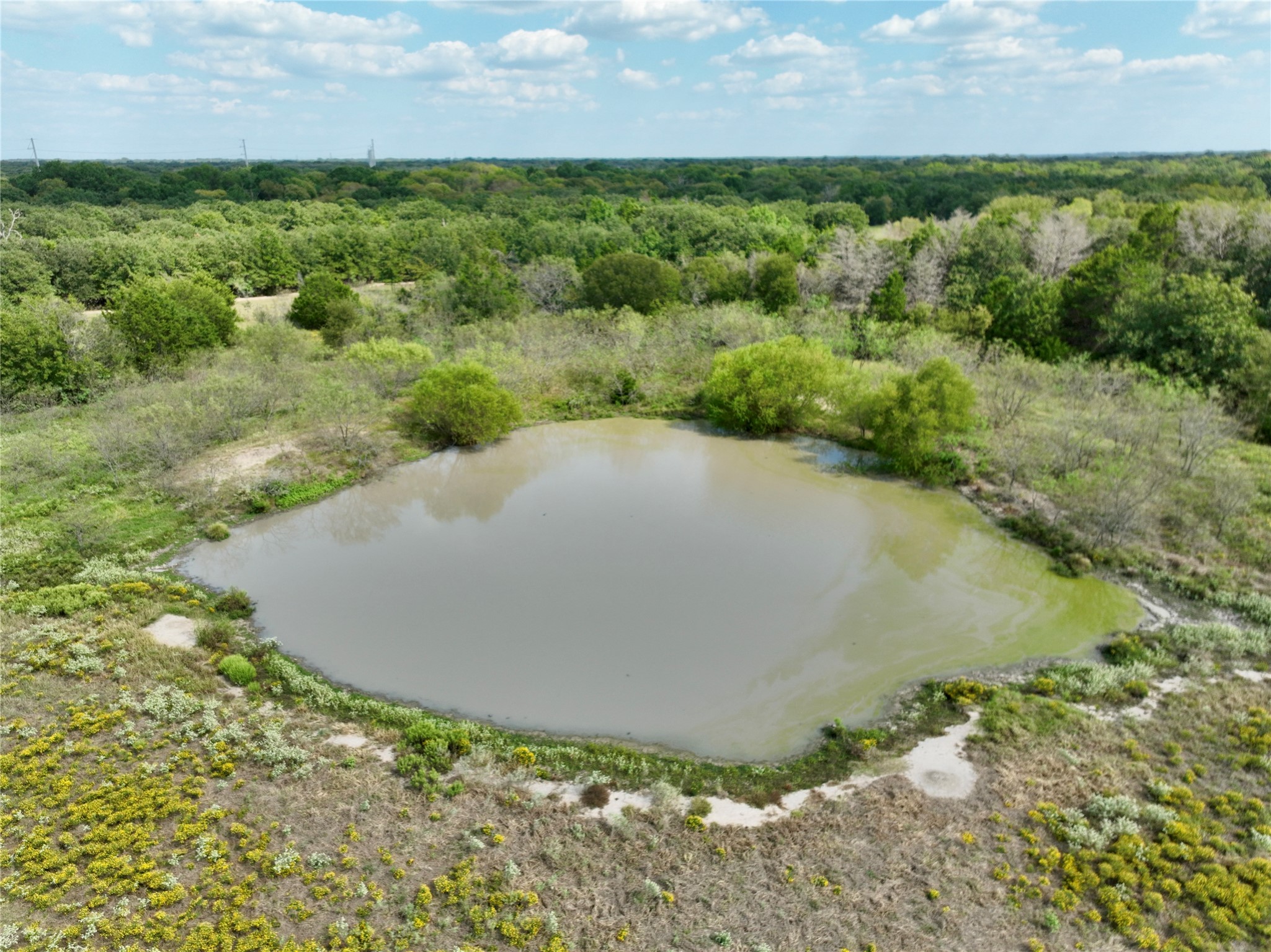 Tbd 93.8± Acres NW Co Road 3310 Frost TX 76641