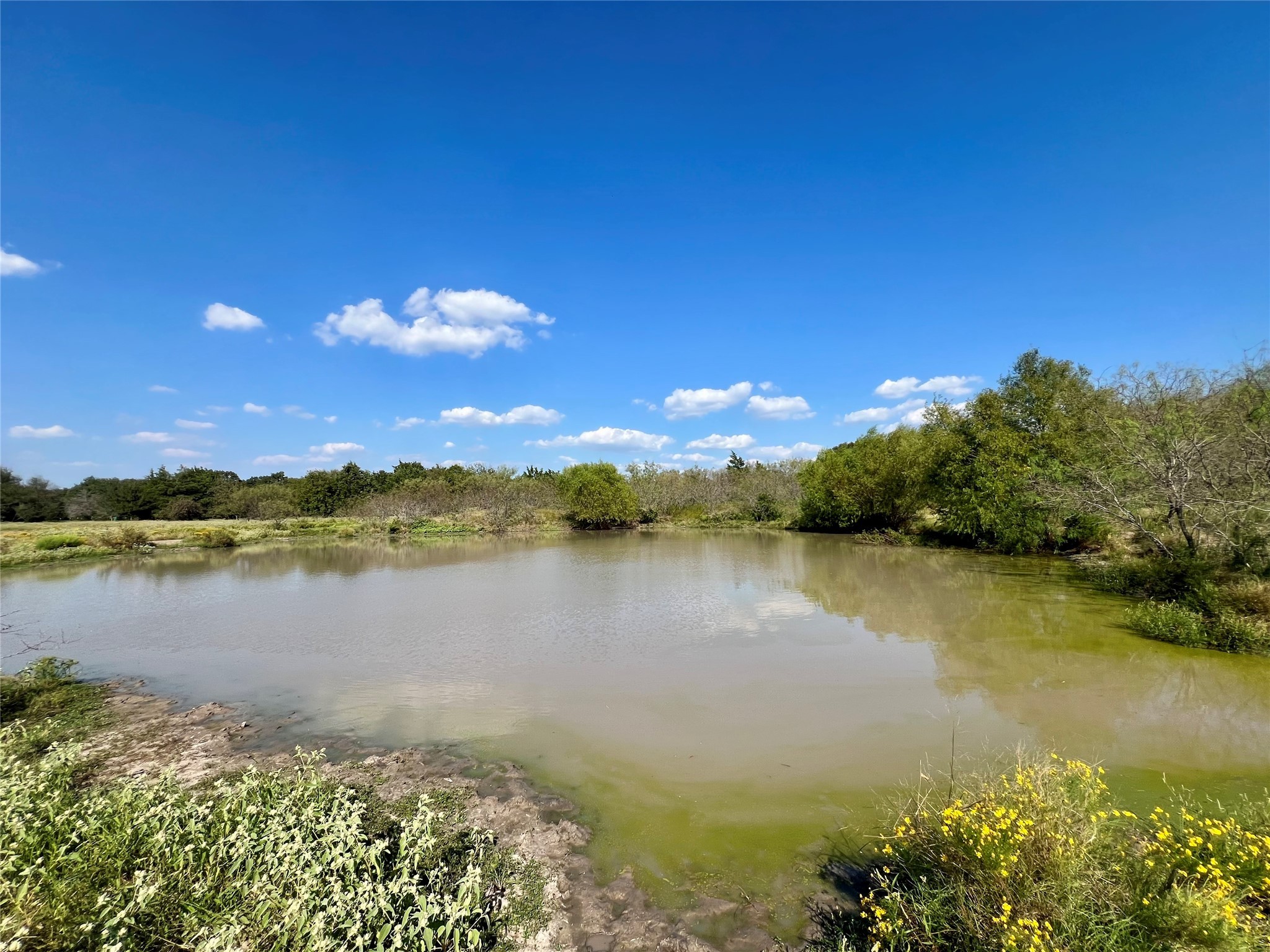 Tbd 93.8± Acres NW Co Road 3310 Frost TX 76641