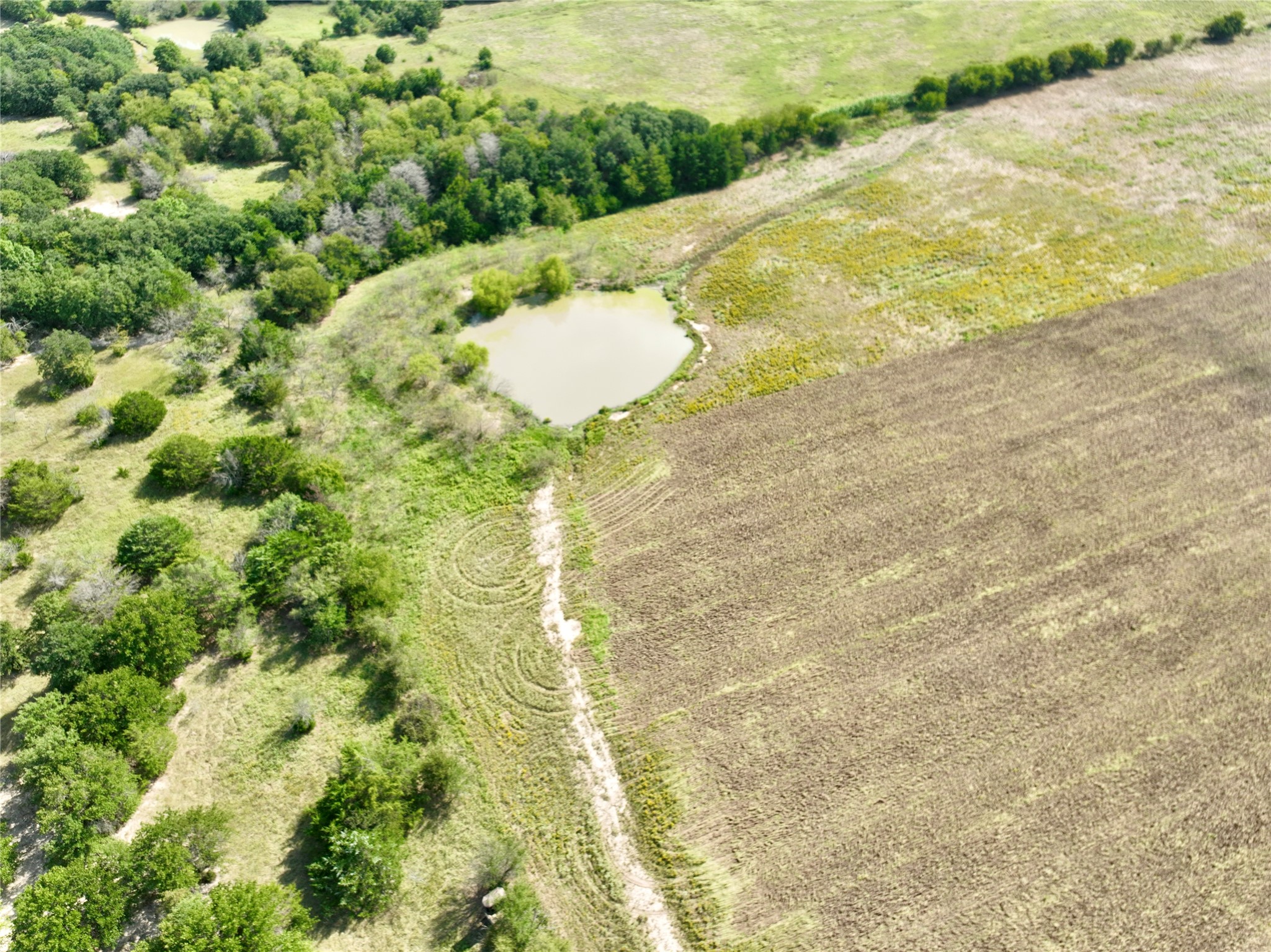 Tbd 93.8± Acres NW Co Road 3310 Frost TX 76641