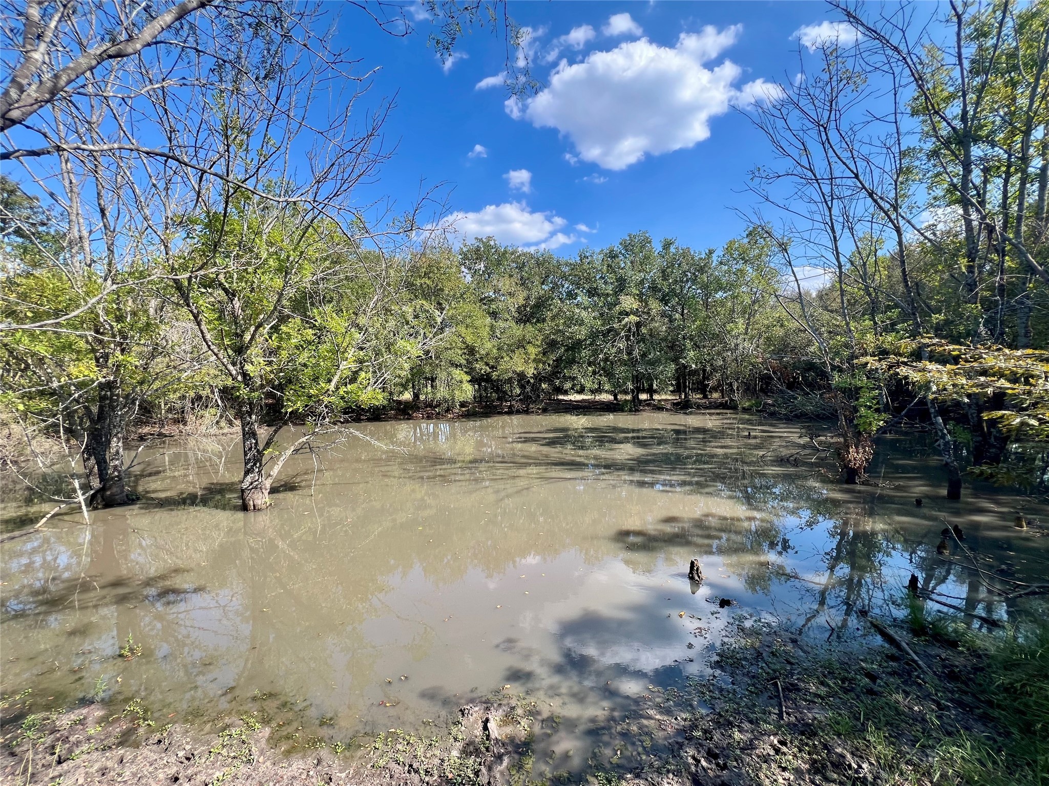 Tbd 93.8± Acres NW Co Road 3310 Frost TX 76641