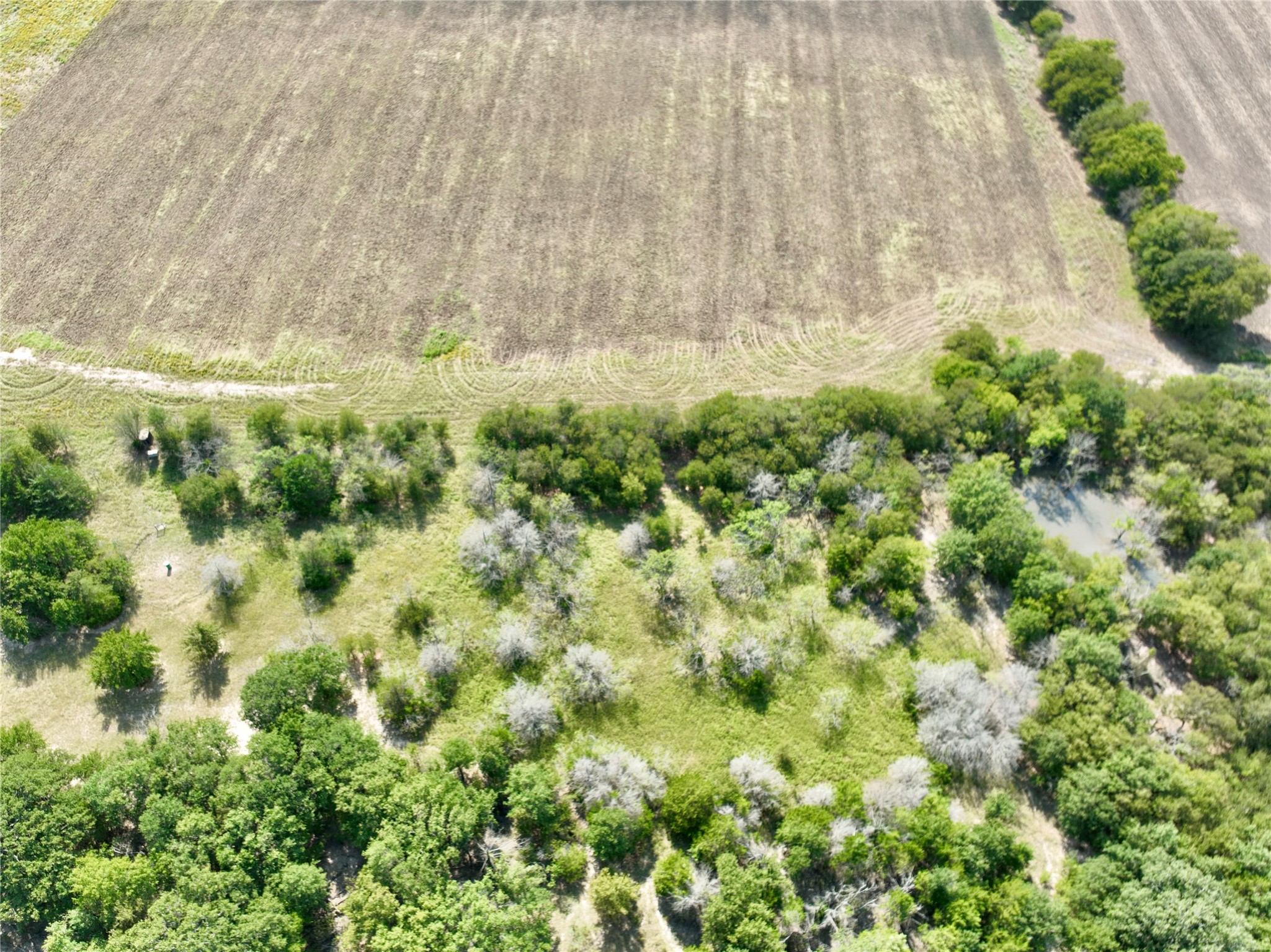 Tbd 93.8± Acres NW Co Road 3310 Frost TX 76641