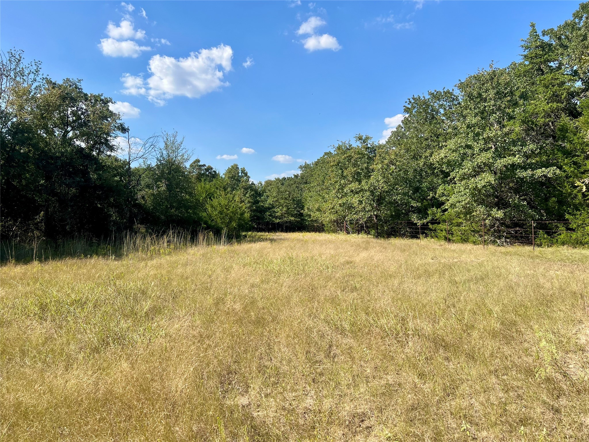 Tbd 93.8± Acres NW Co Road 3310 Frost TX 76641