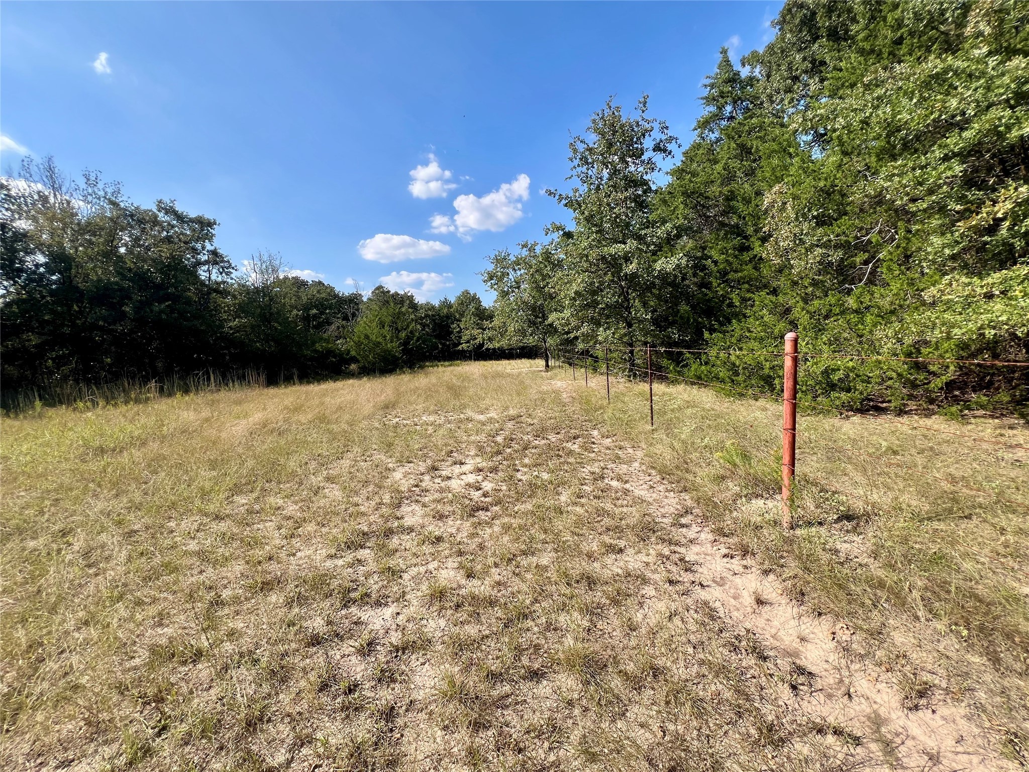 Tbd 93.8± Acres NW Co Road 3310 Frost TX 76641