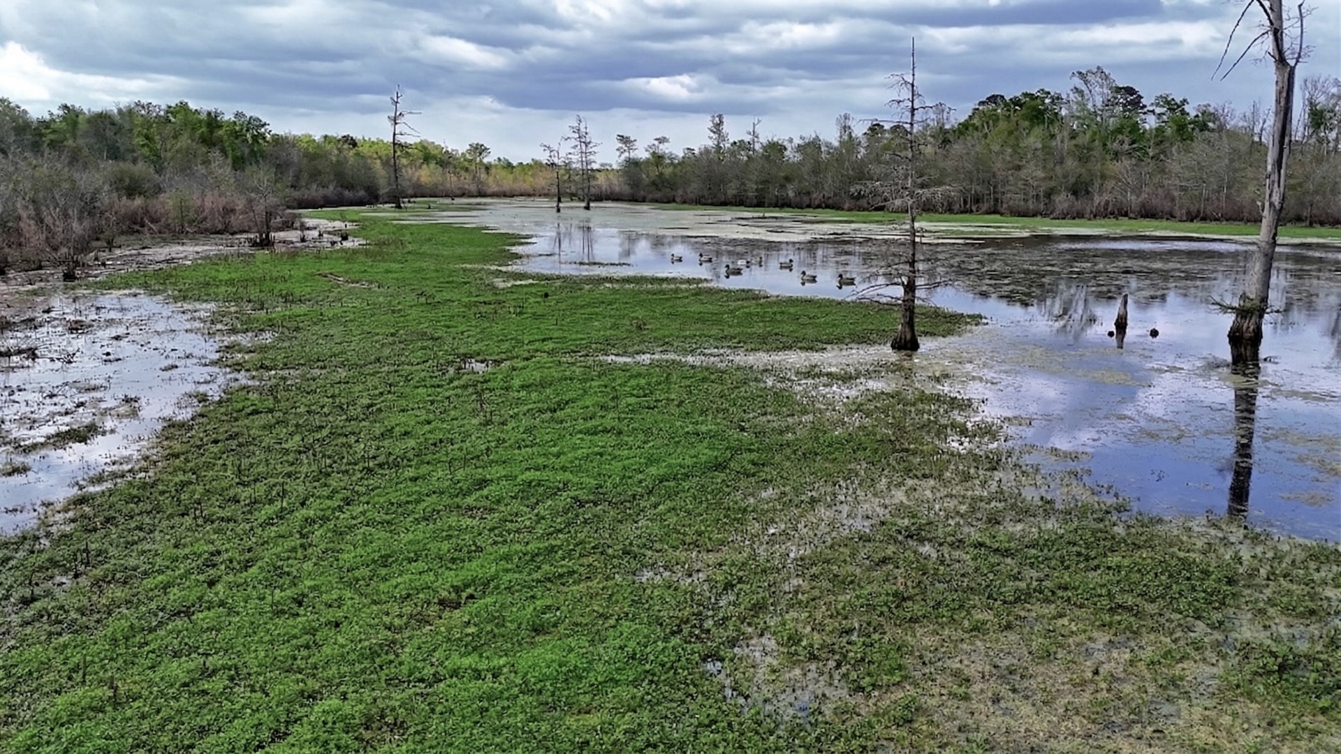 Tbd County Road 401 Carthage TX 75633