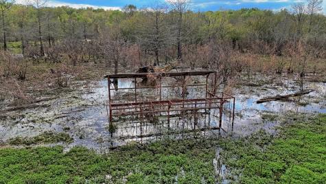 Tbd County Road 401 Carthage TX 75633