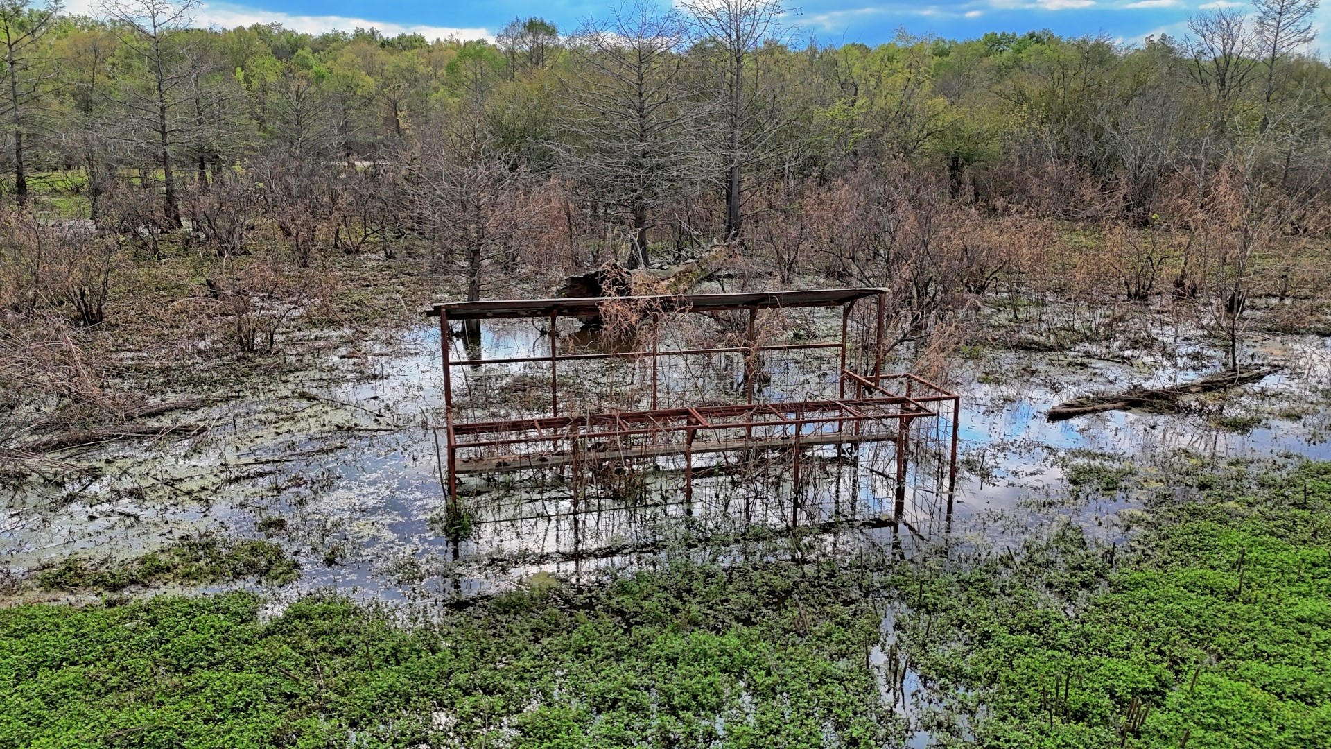 Tbd County Road 401 Carthage TX 75633