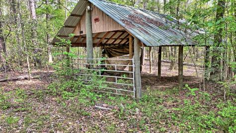 TBD County Road 401 Carthage TX 75633