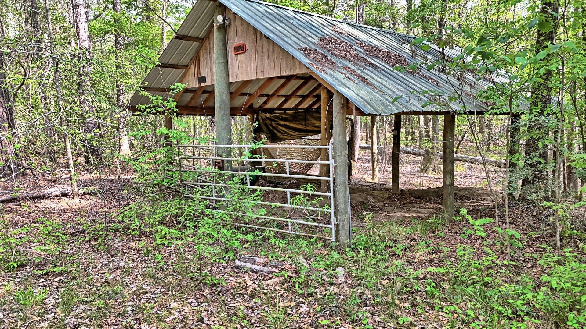 Tbd County Road 401 Carthage TX 75633