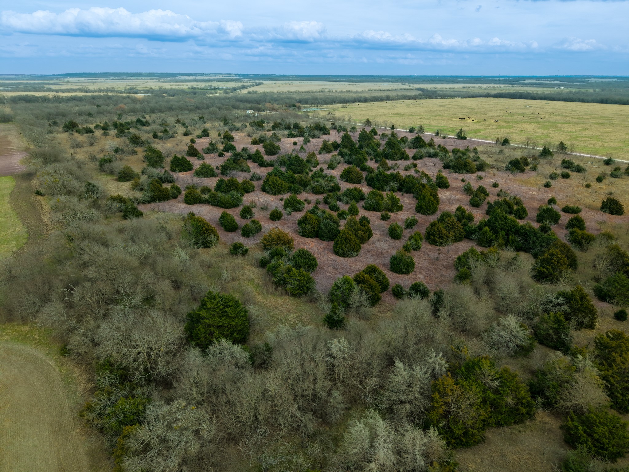 Tbd Lcr 189 E Coolidge TX 76635