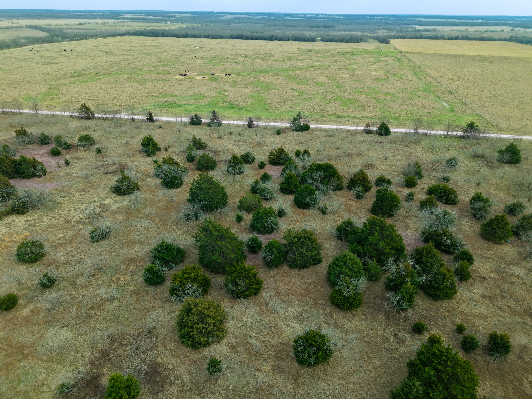 Tbd Lcr 189 E Coolidge TX 76635