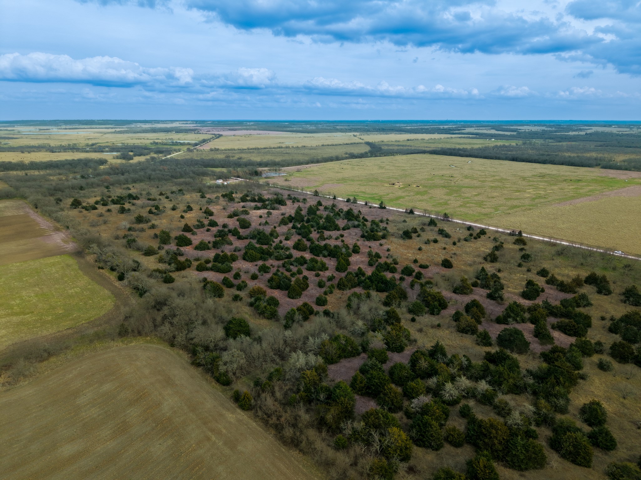 Tbd Lcr 189 E Coolidge TX 76635