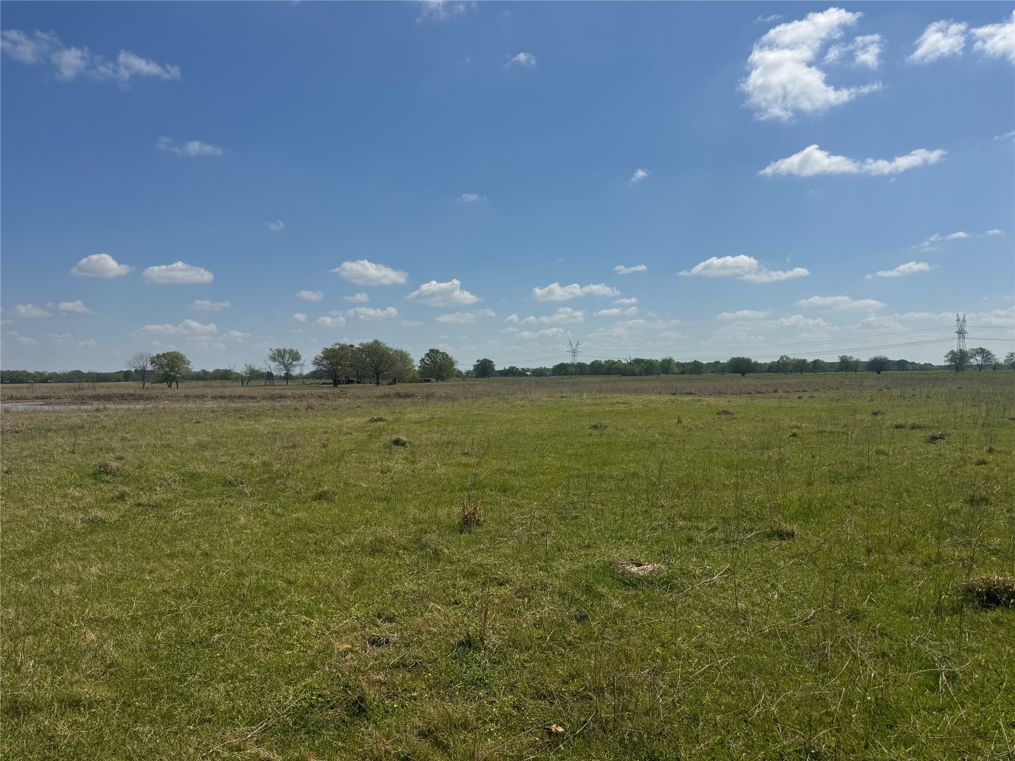107 Highway 37 Mount Vernon TX 75457