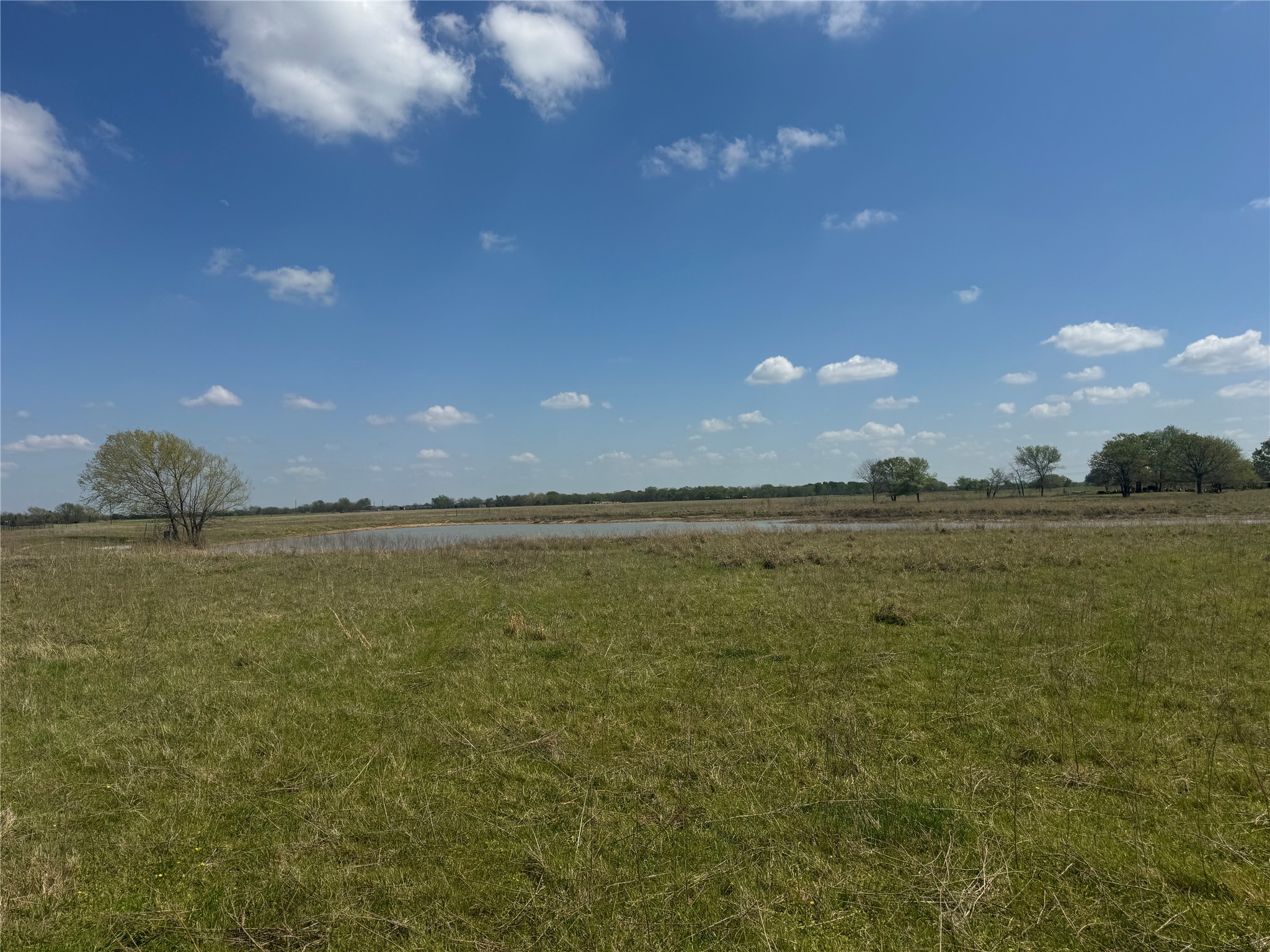 107 Highway 37 Mount Vernon TX 75457