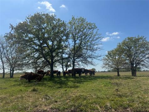 107 Highway 37 Mount Vernon TX 75457