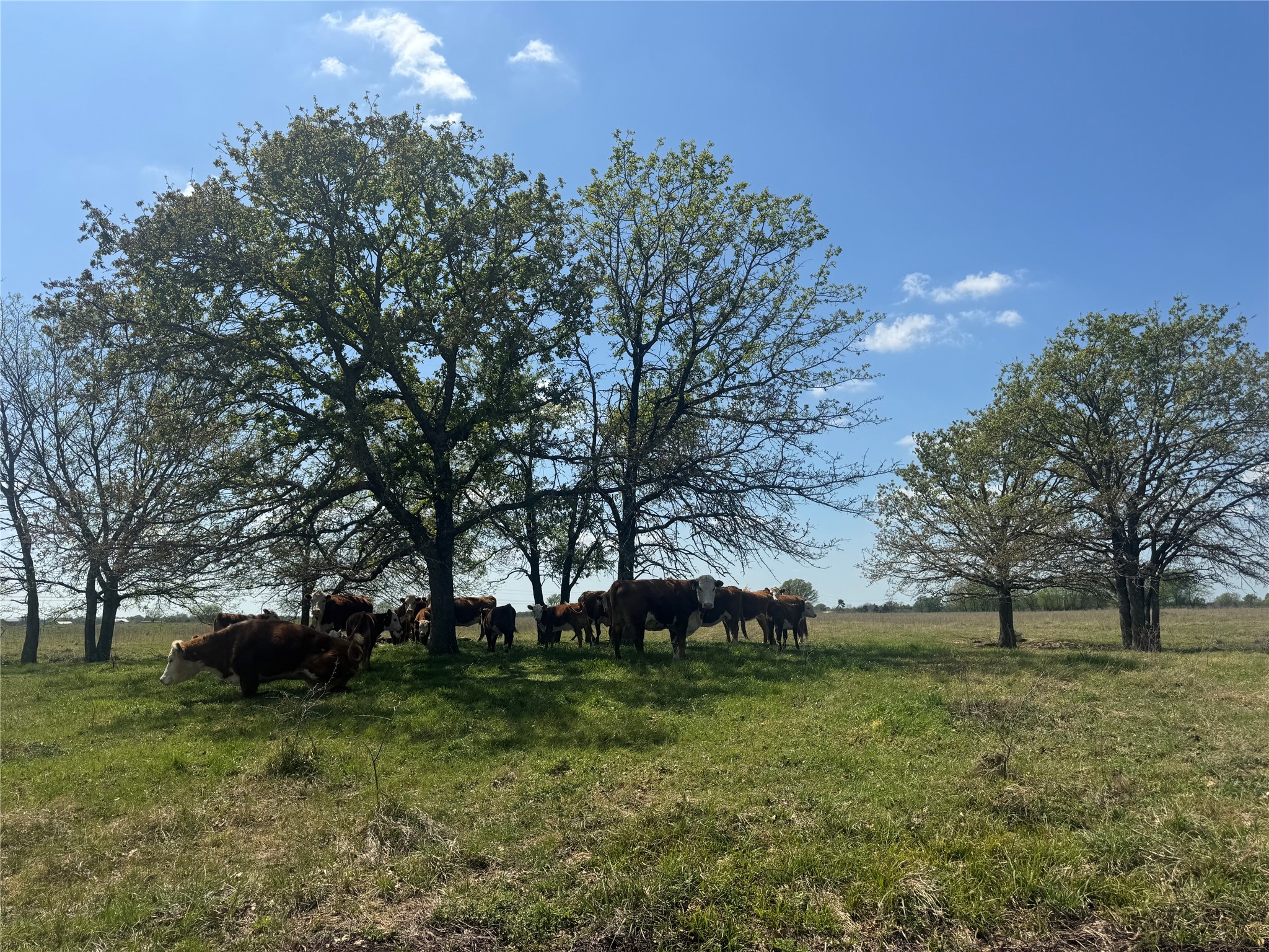107 Highway 37 Mount Vernon TX 75457