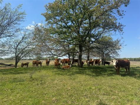 107 Highway 37 Mount Vernon TX 75457