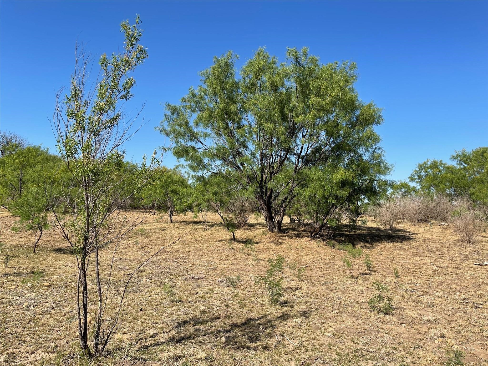 Tbd County Road 346 Gouldbusk TX 76845