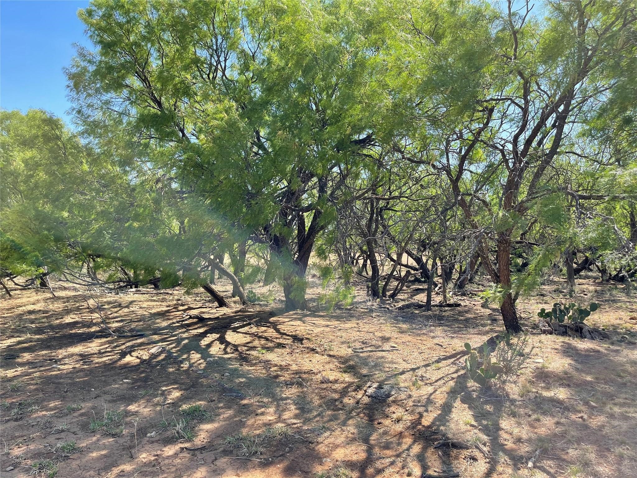 Tbd County Road 346 Gouldbusk TX 76845