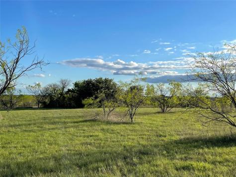 129 Tobiano Trace Brock TX 76087
