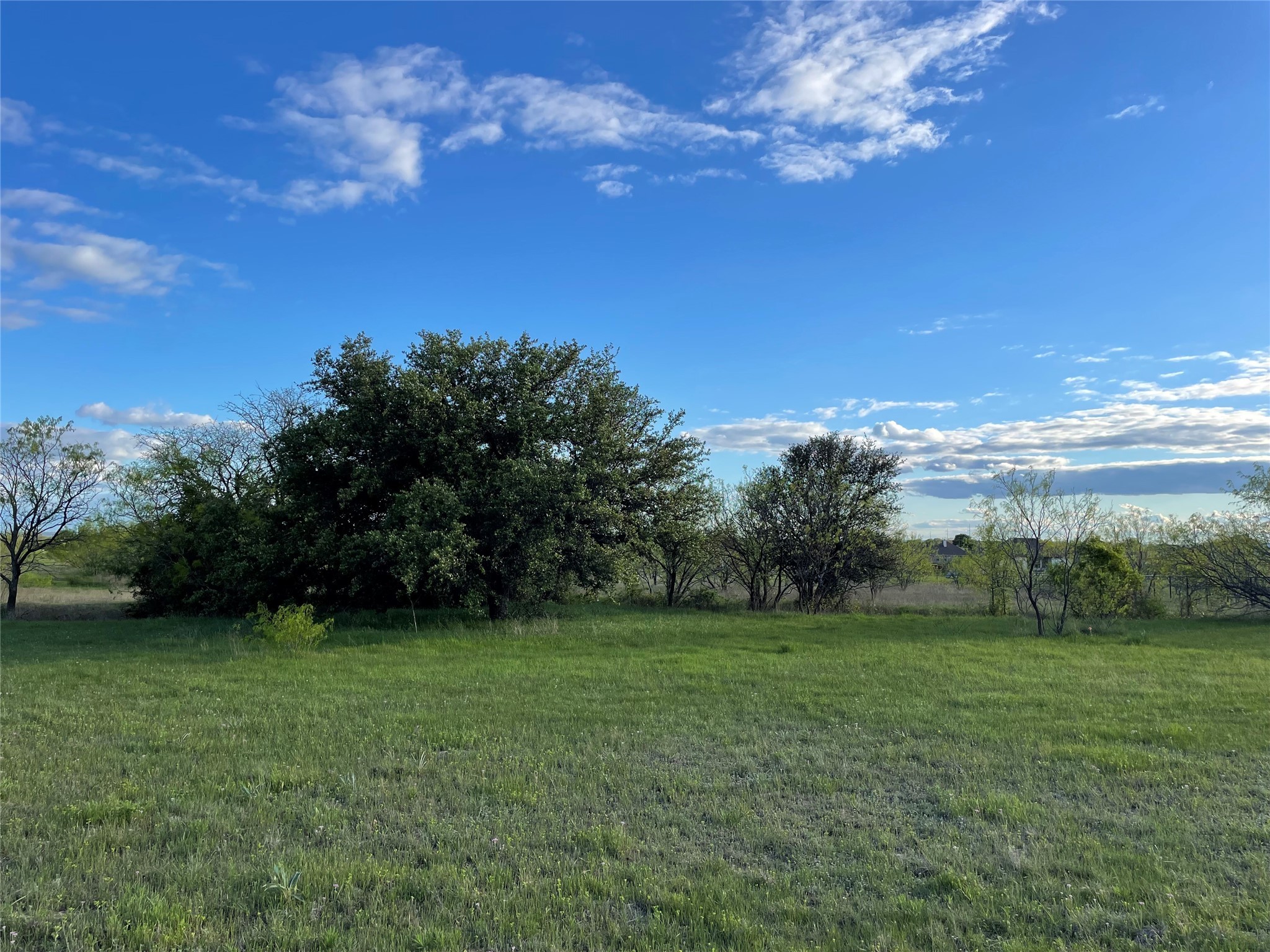 129 Tobiano Trace Brock TX 76087