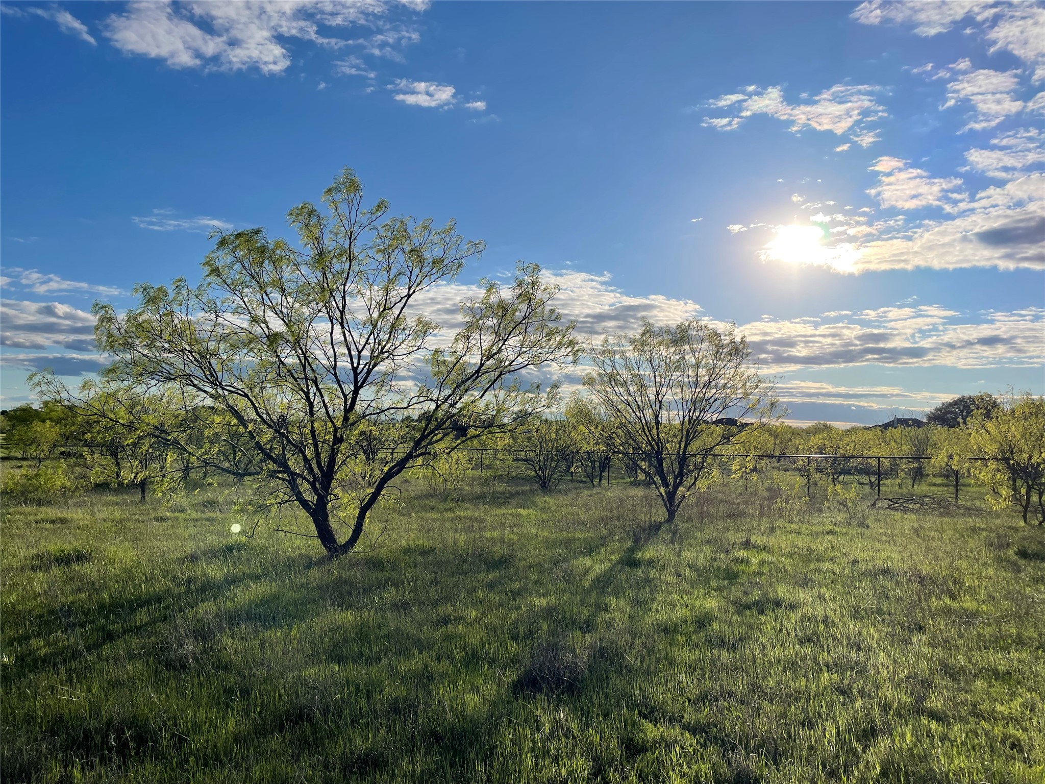 129 Tobiano Trace Brock TX 76087