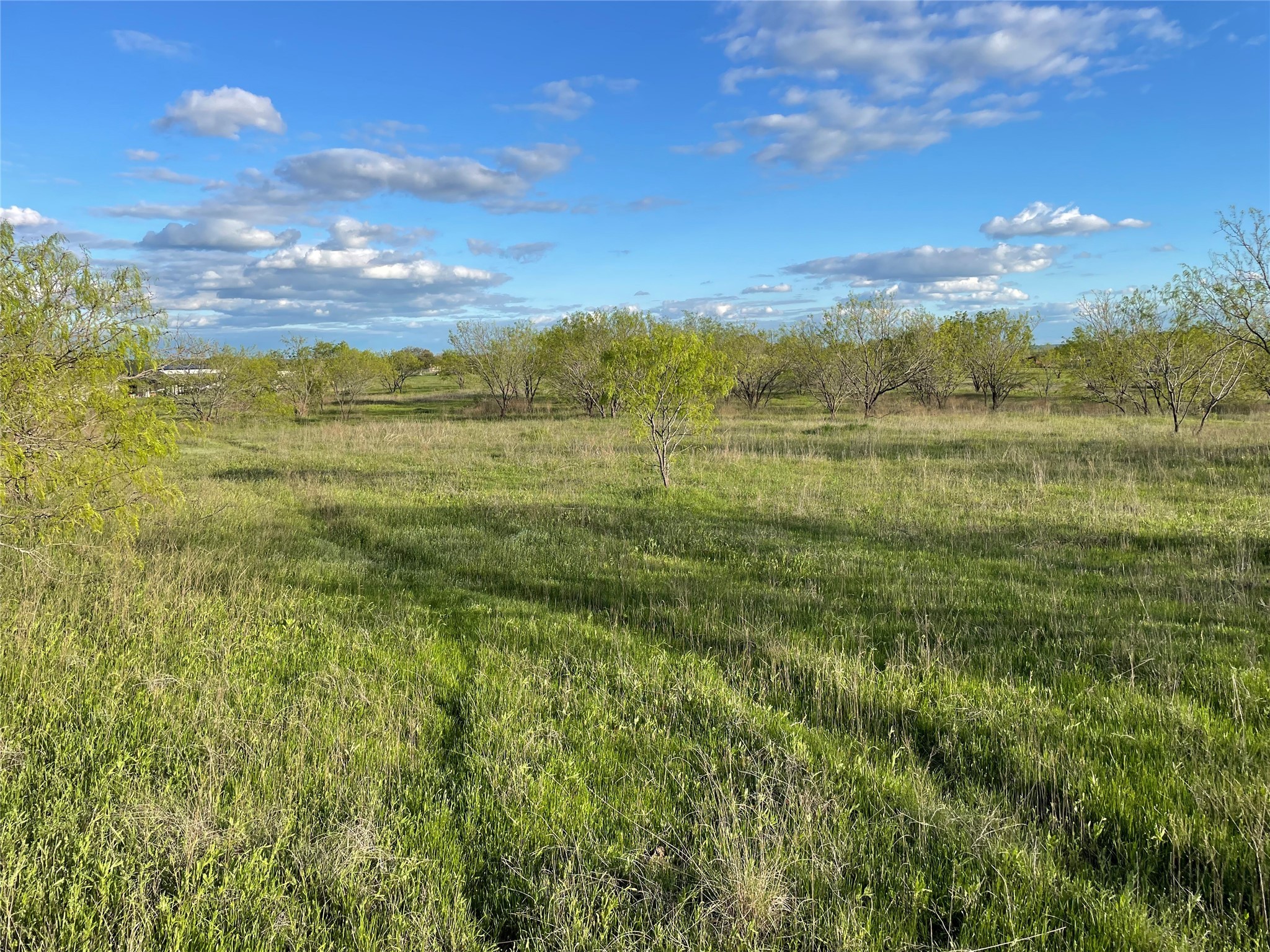 129 Tobiano Trace Brock TX 76087