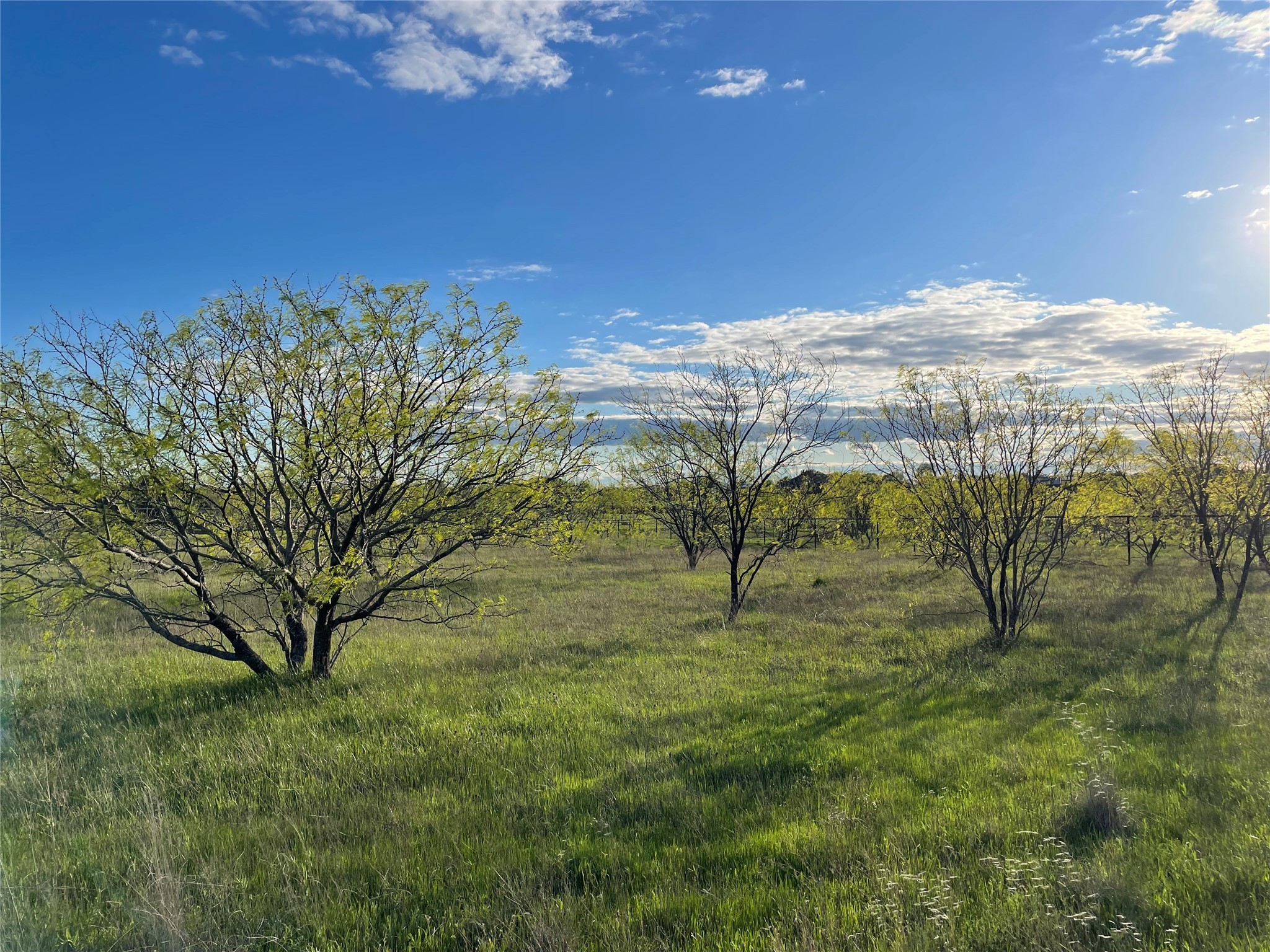 129 Tobiano Trace Brock TX 76087