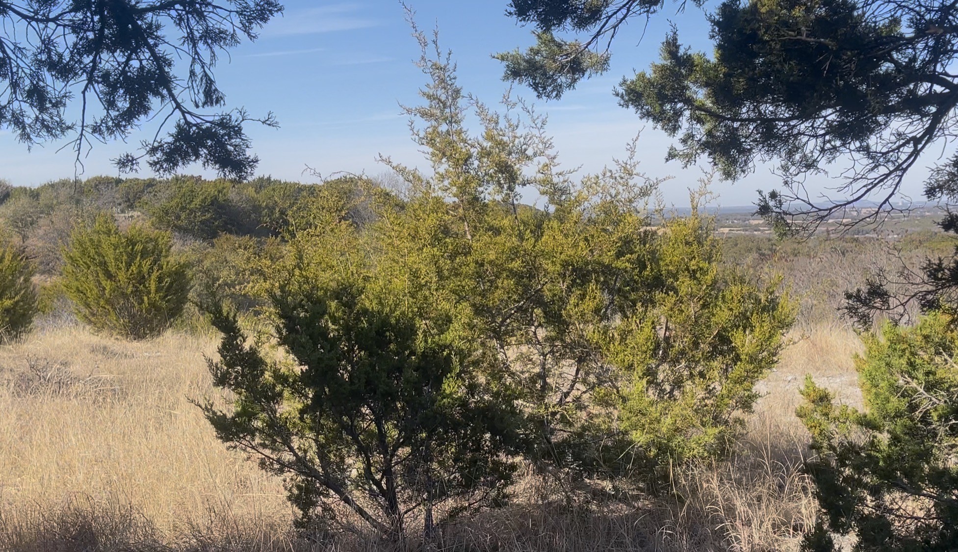1472 Hidden Mountain Drive Glen Rose TX 76043