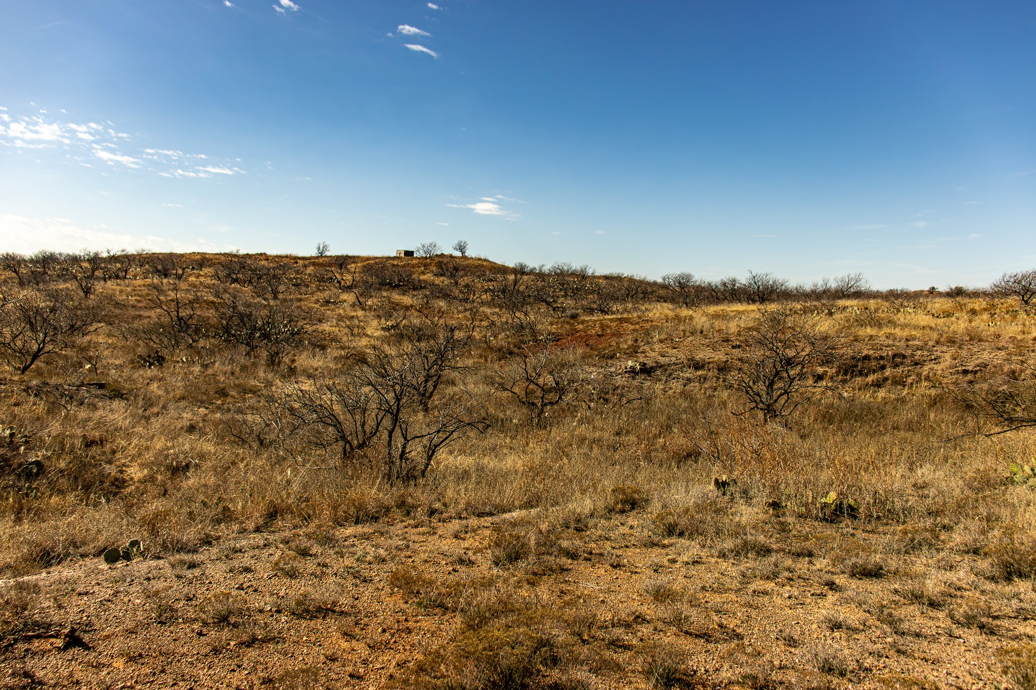 Tbd N Westover Road Seymour TX 76380