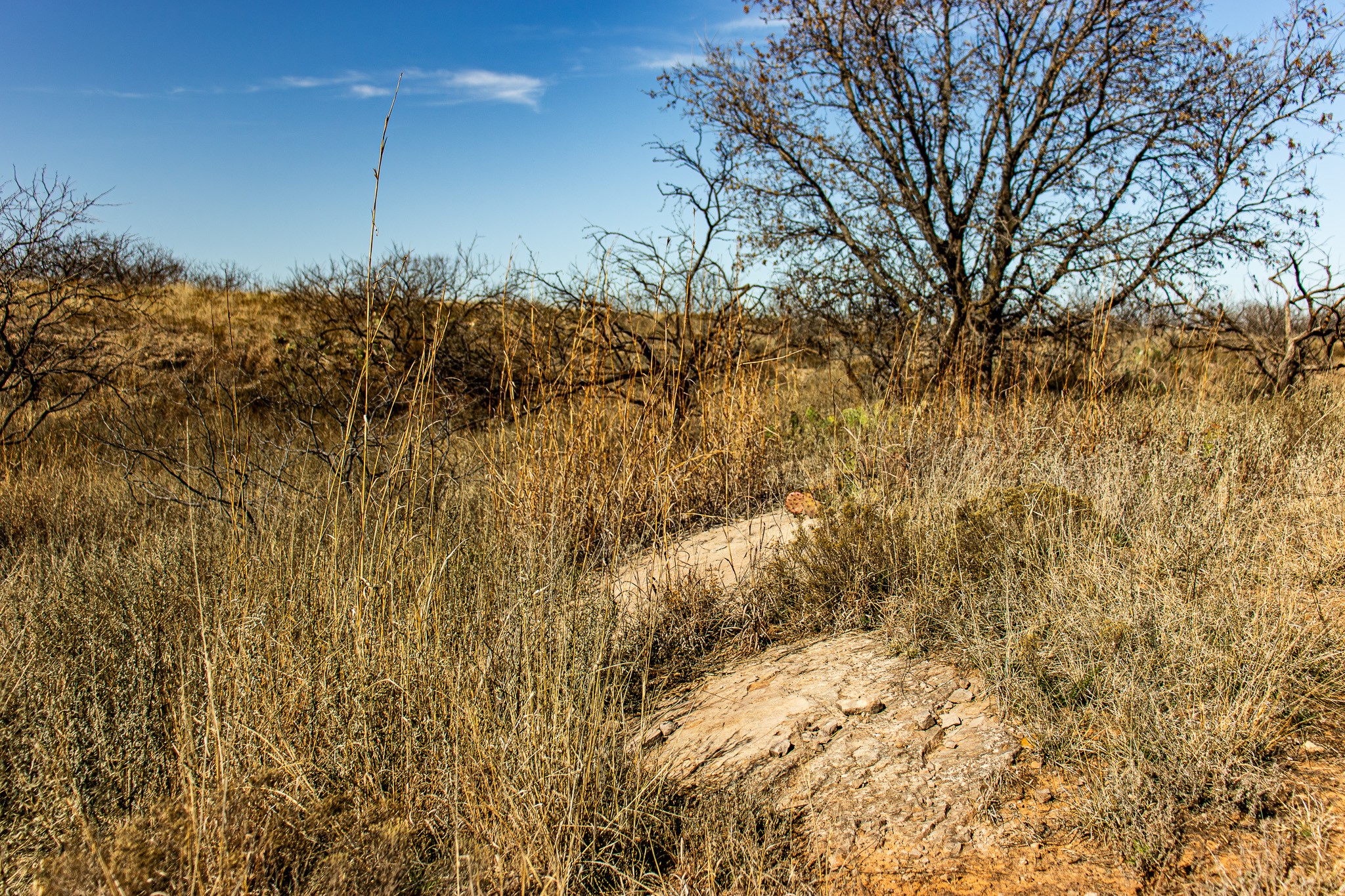 Tbd N Westover Road Seymour TX 76380