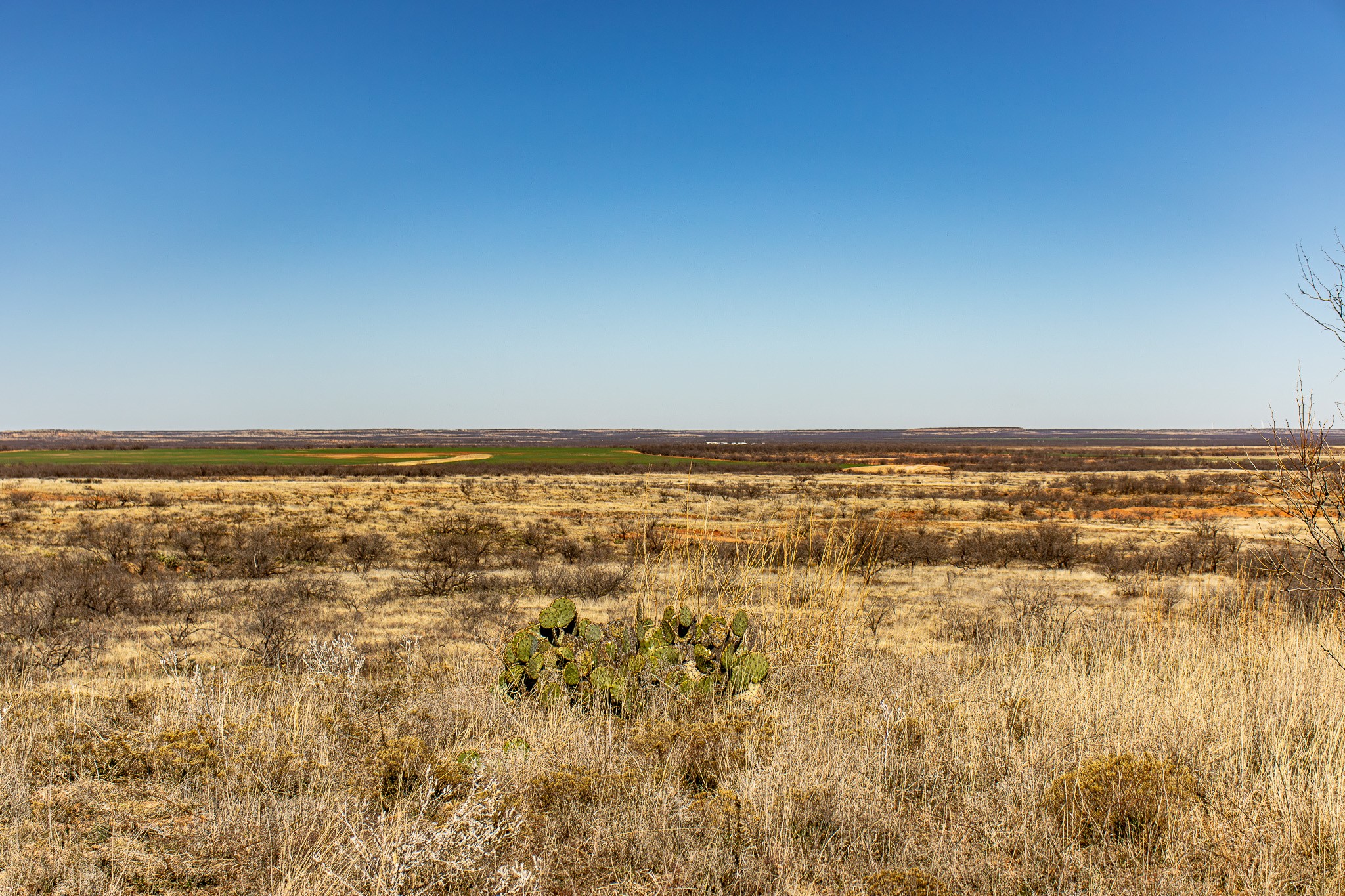 Tbd N Westover Road Seymour TX 76380