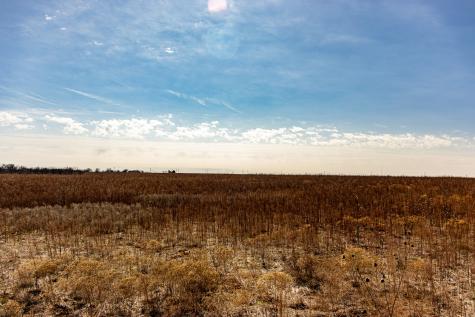 Tbd N Westover Road Seymour TX 76380